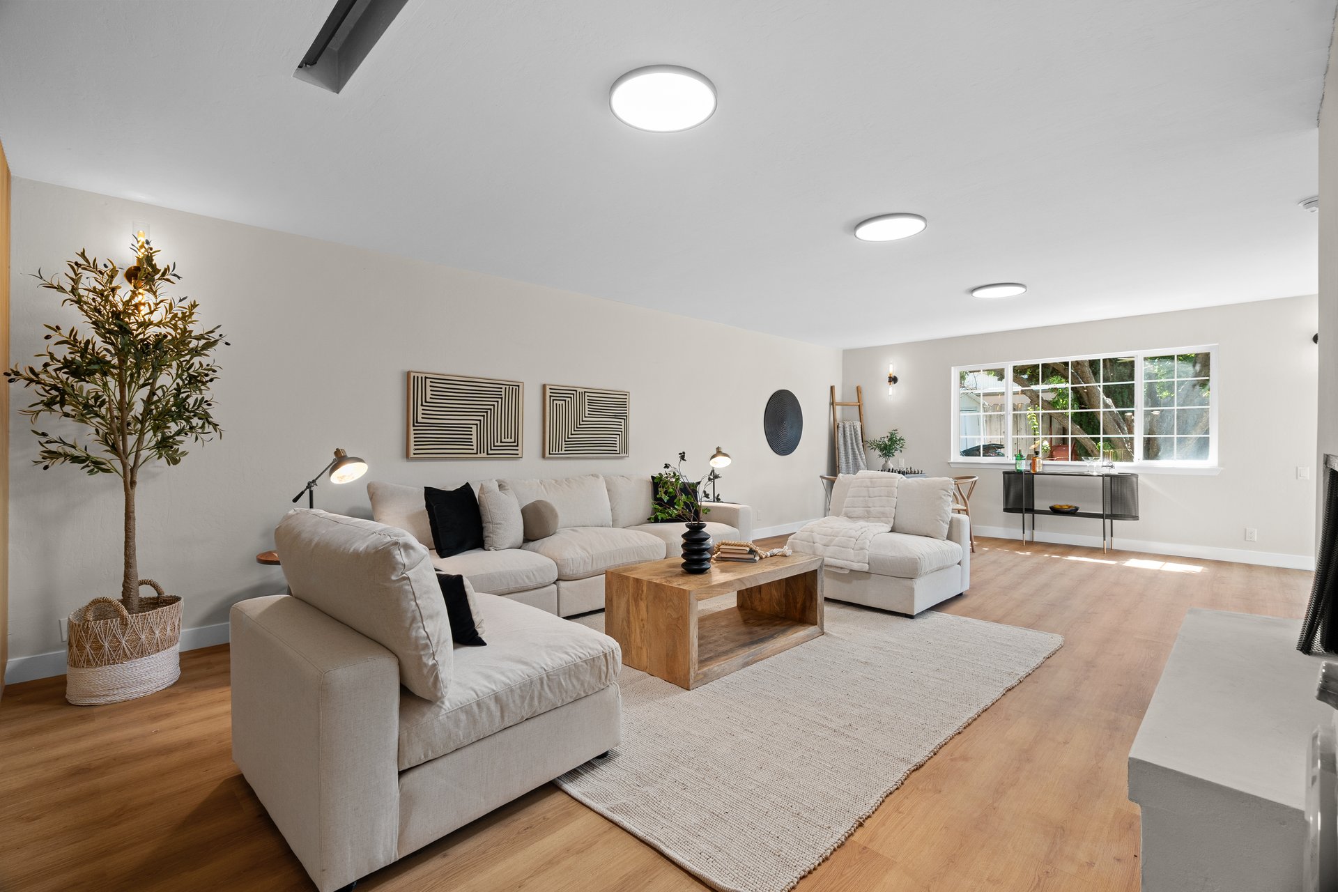 2020 Brown CT