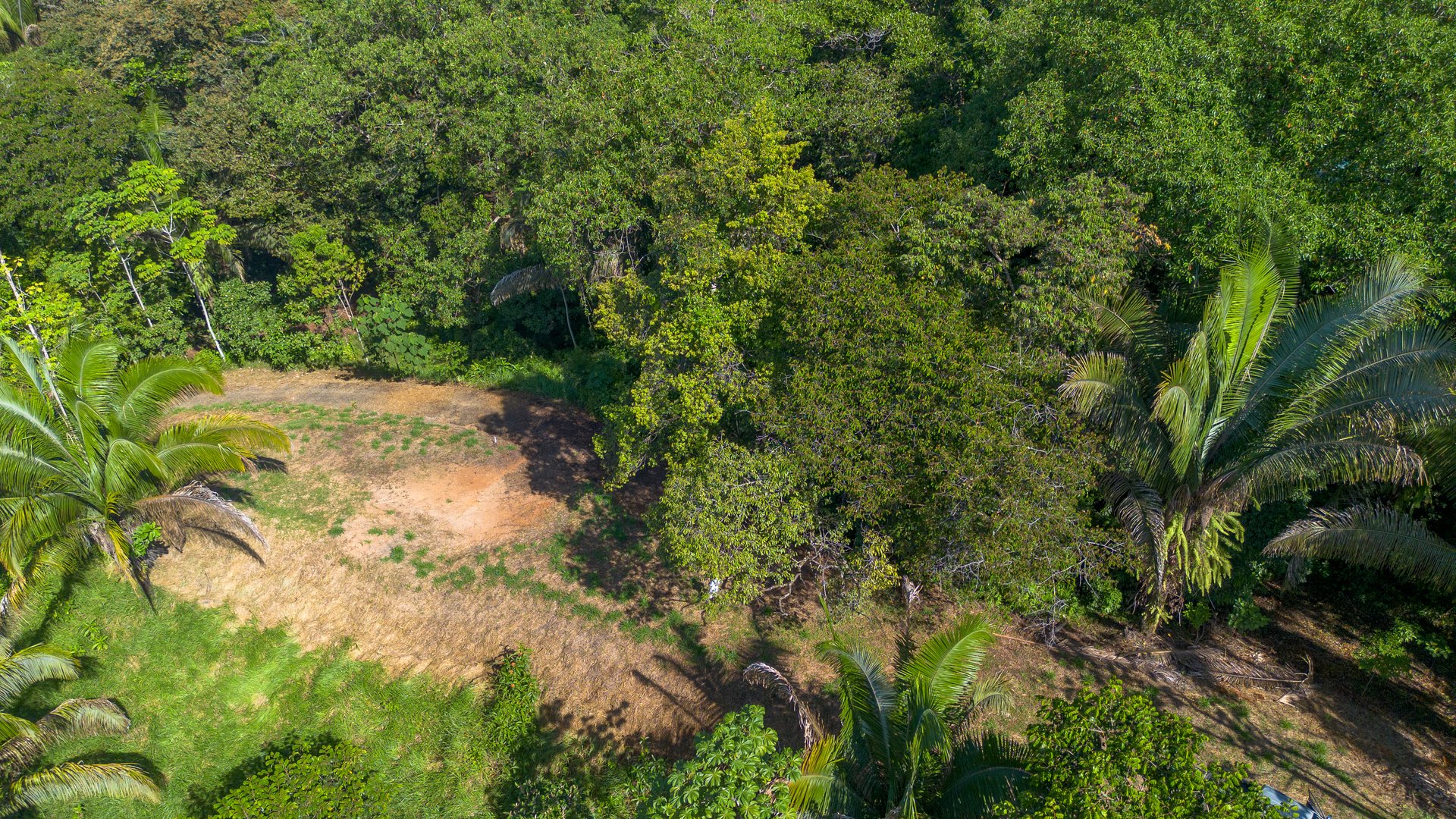 Surfers Paradise! Two Usable Lots for Building in Playa Hermosa Near Uvita!!