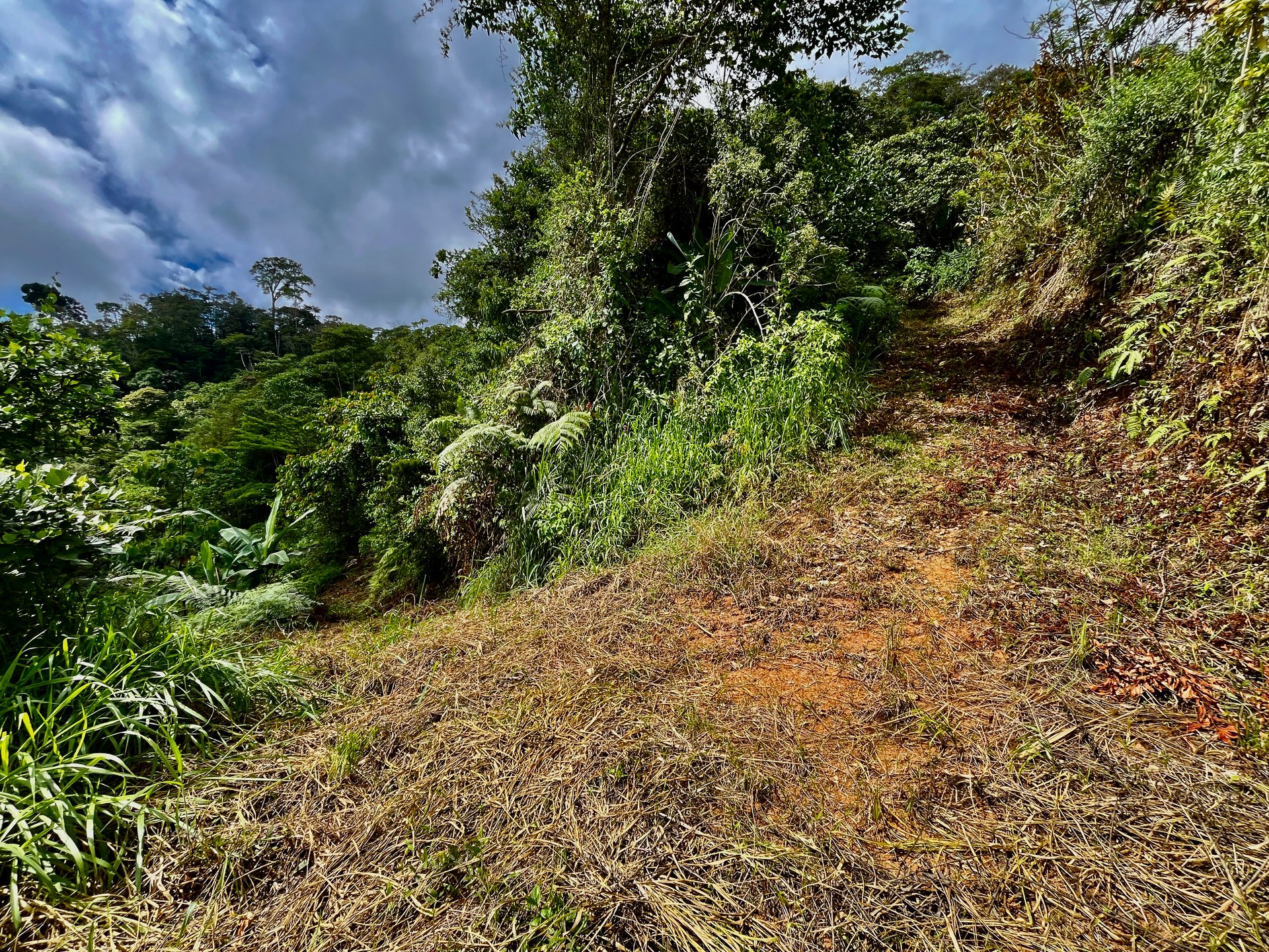 San Luis Ridgetop Ocean & Mountain View Property with Multiple Building Sites!