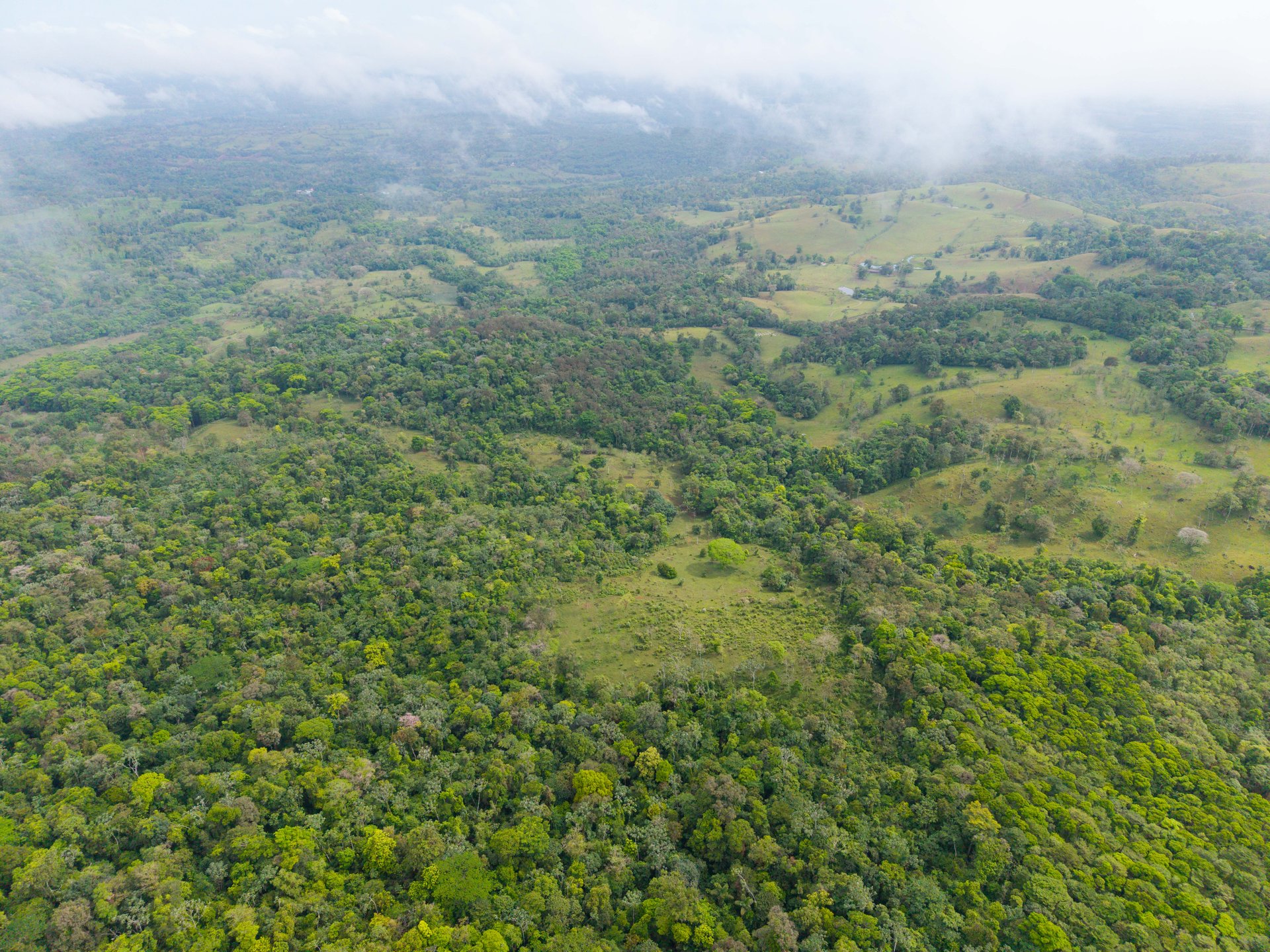Finca Las Zompopas-Río Celeste | 113-Acre Biodiverse Property in Bijagua, Ideal for Eco-Tourism, Private Retreats, or Sustainable Development