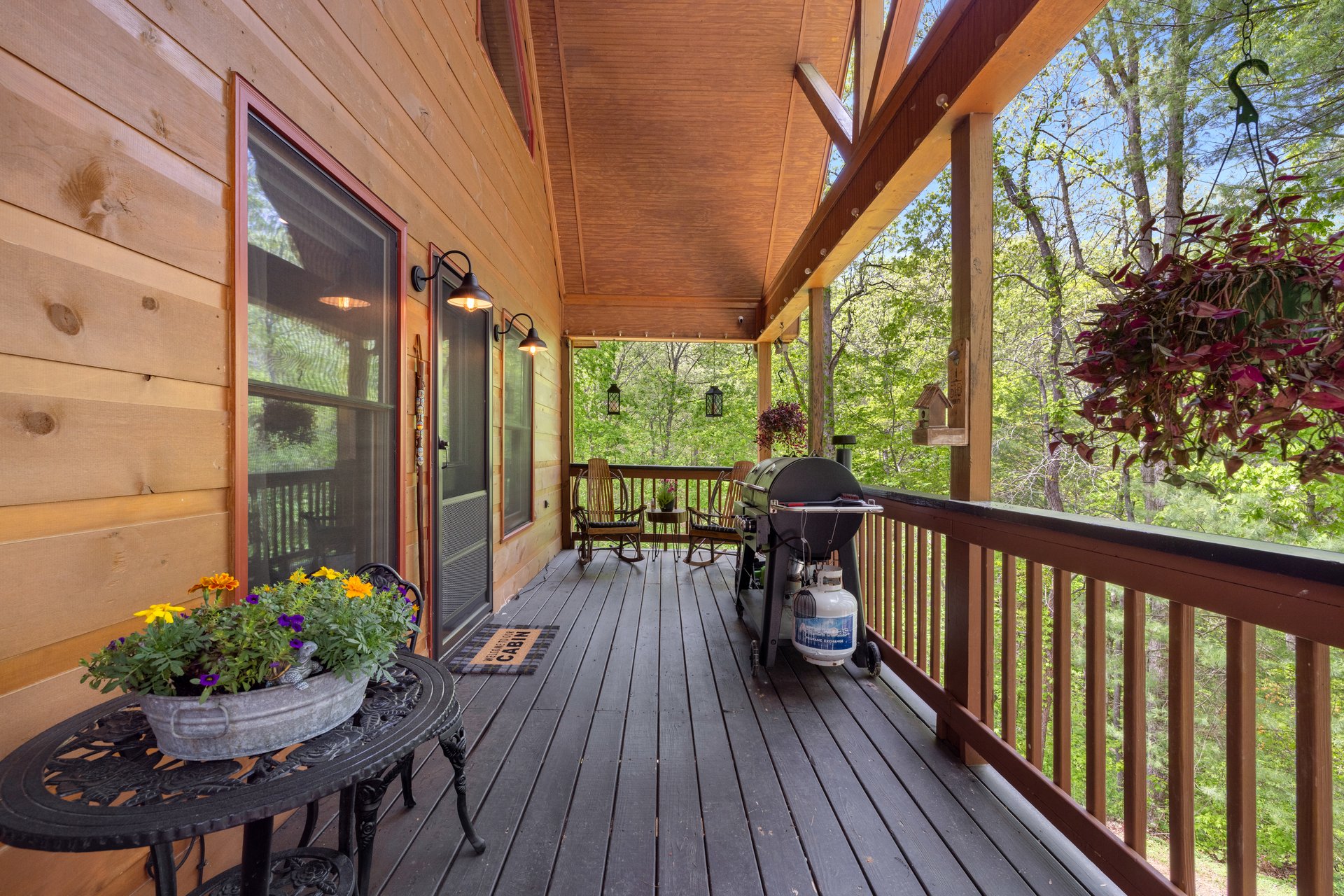 169 Wildwood Court, Ellijay, Georgia 30540