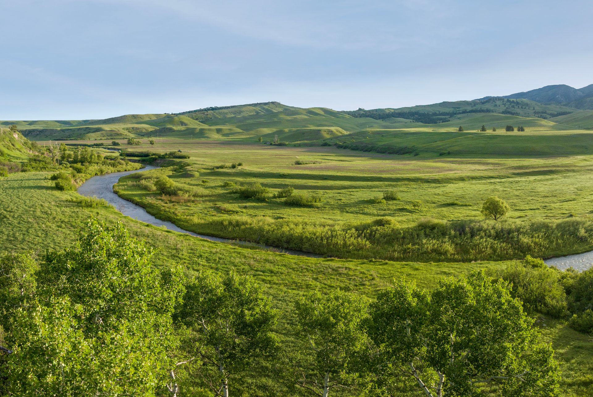 Big Spring Legacy Ranch