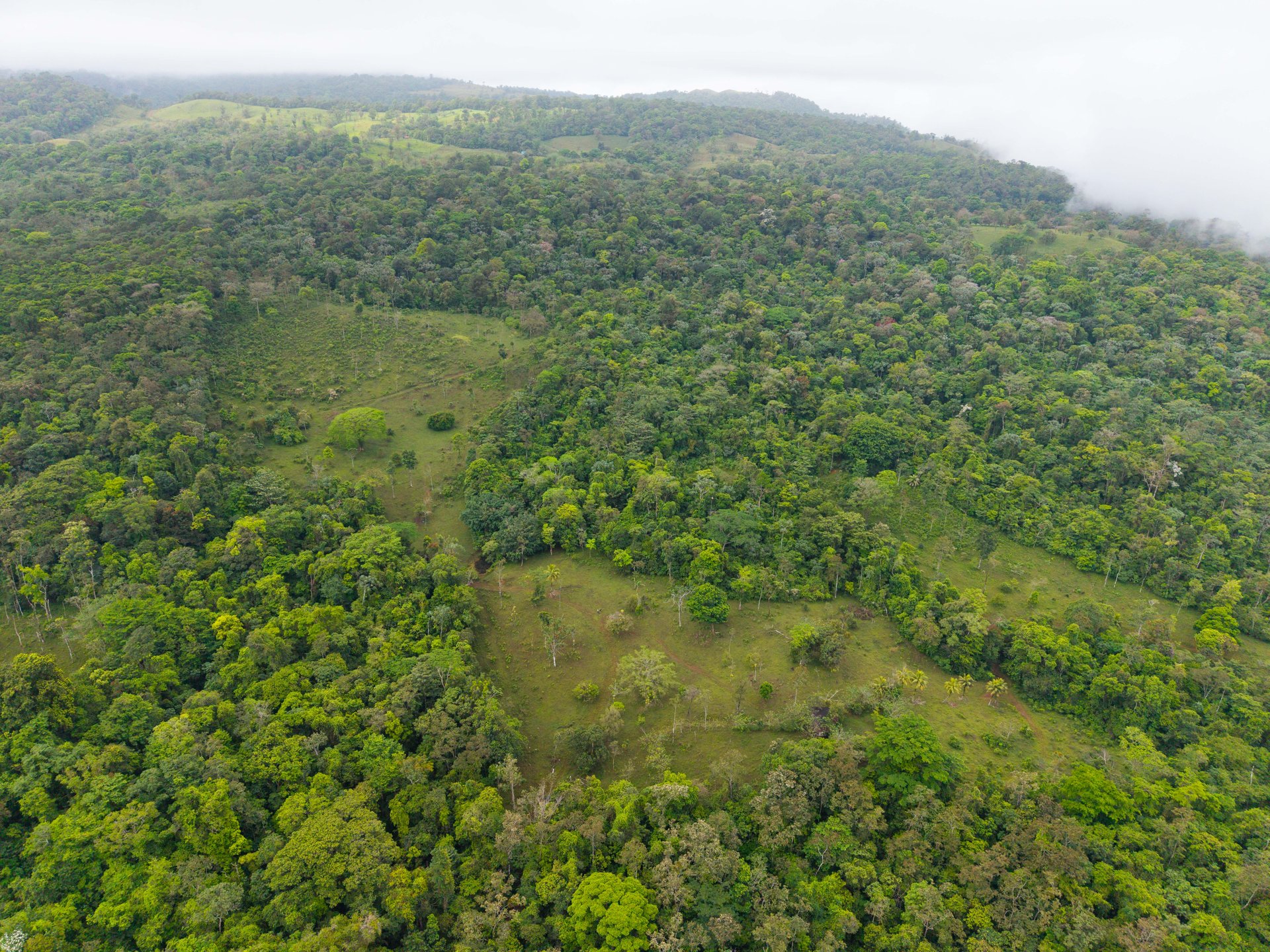 Finca Las Zompopas-Río Celeste | 113-Acre Biodiverse Property in Bijagua, Ideal for Eco-Tourism, Private Retreats, or Sustainable Development