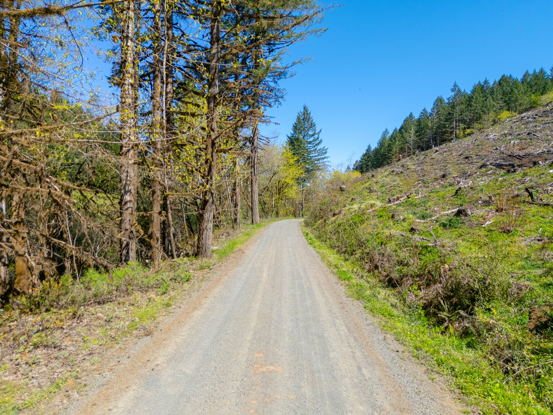 Sharewater Homesite
