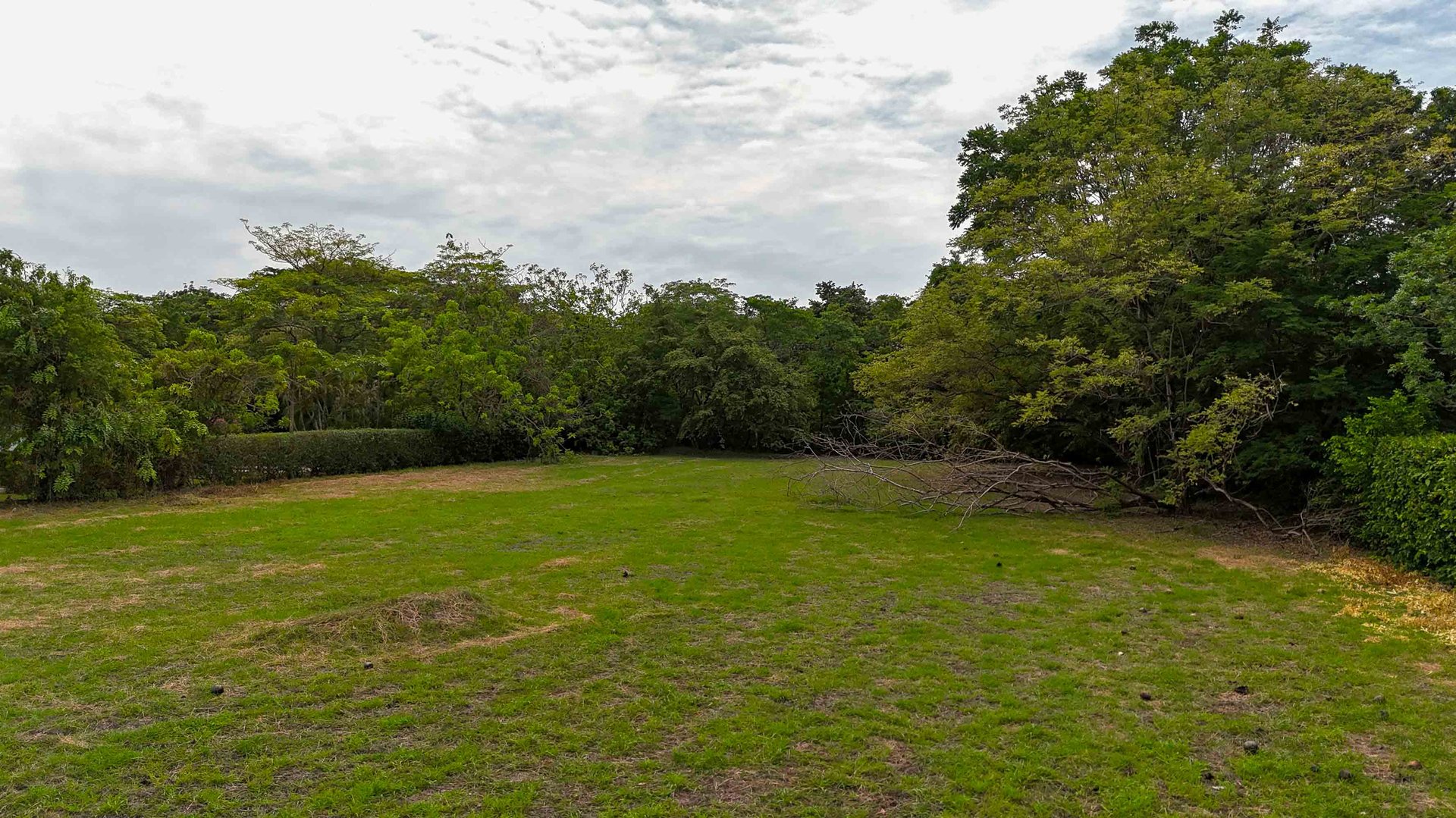 Lot #41 Las Golondrinas | 3,402 m² Buildable Lot Near Playa Bonita