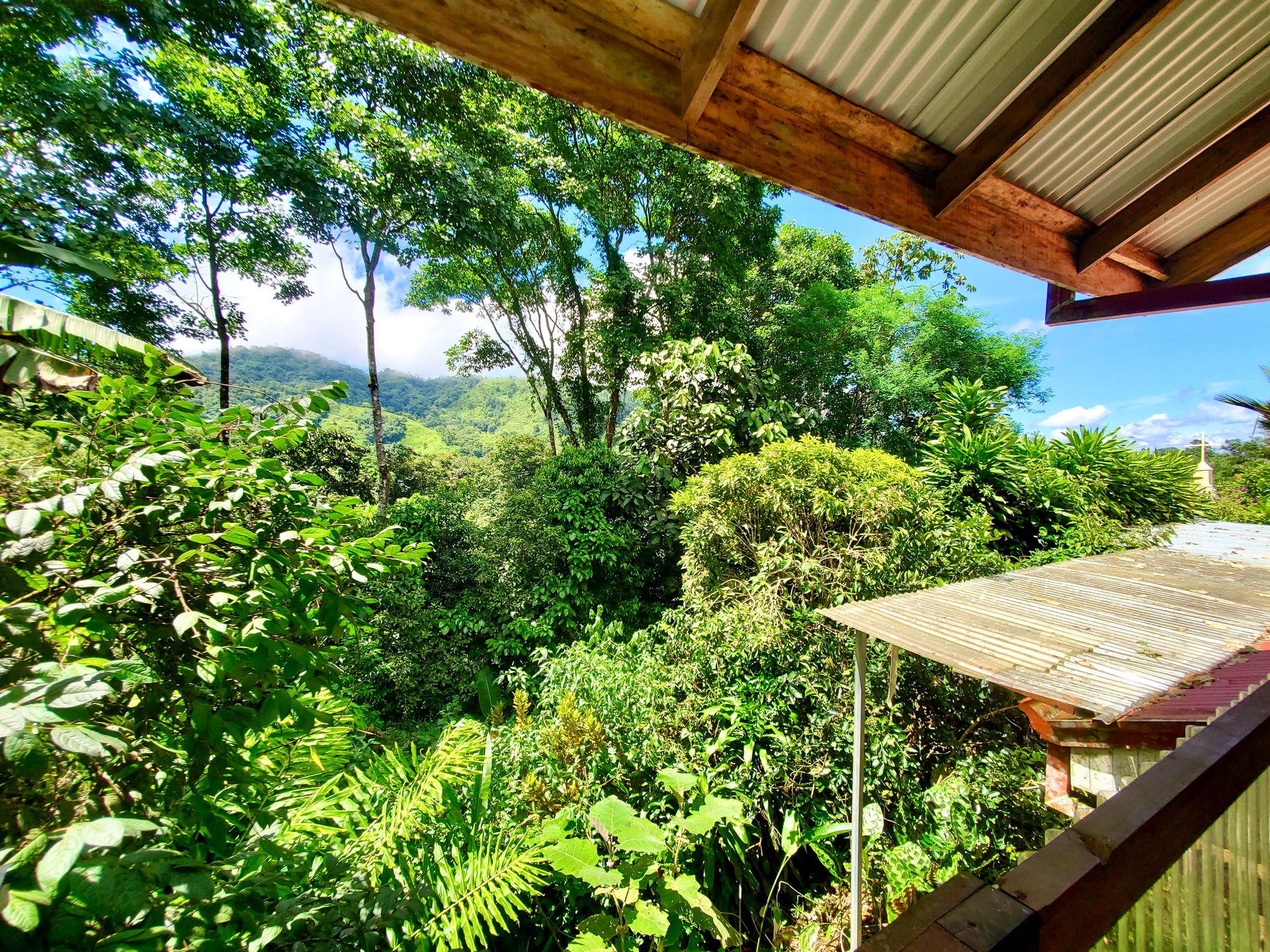 Vista Tucana | San Luis | 3 Bed |1 Bath
