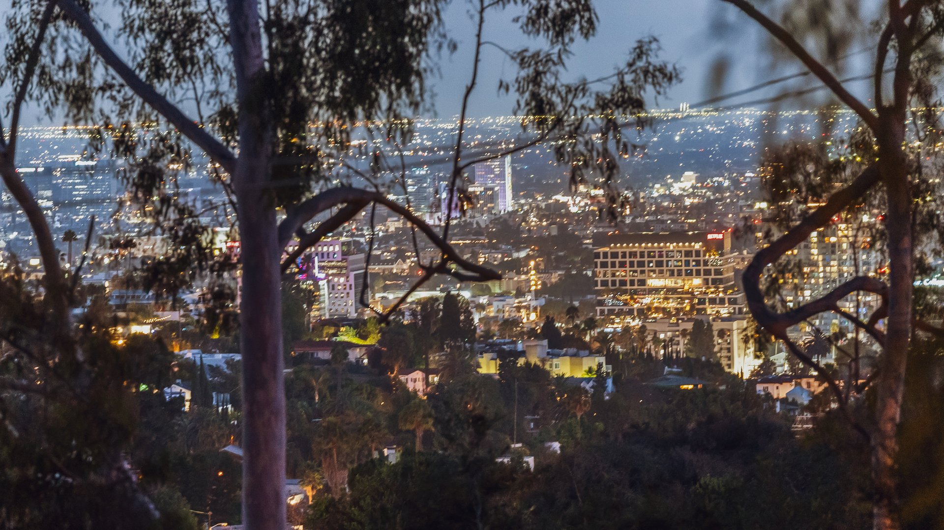 2882 Belden Dr, hollywood hills