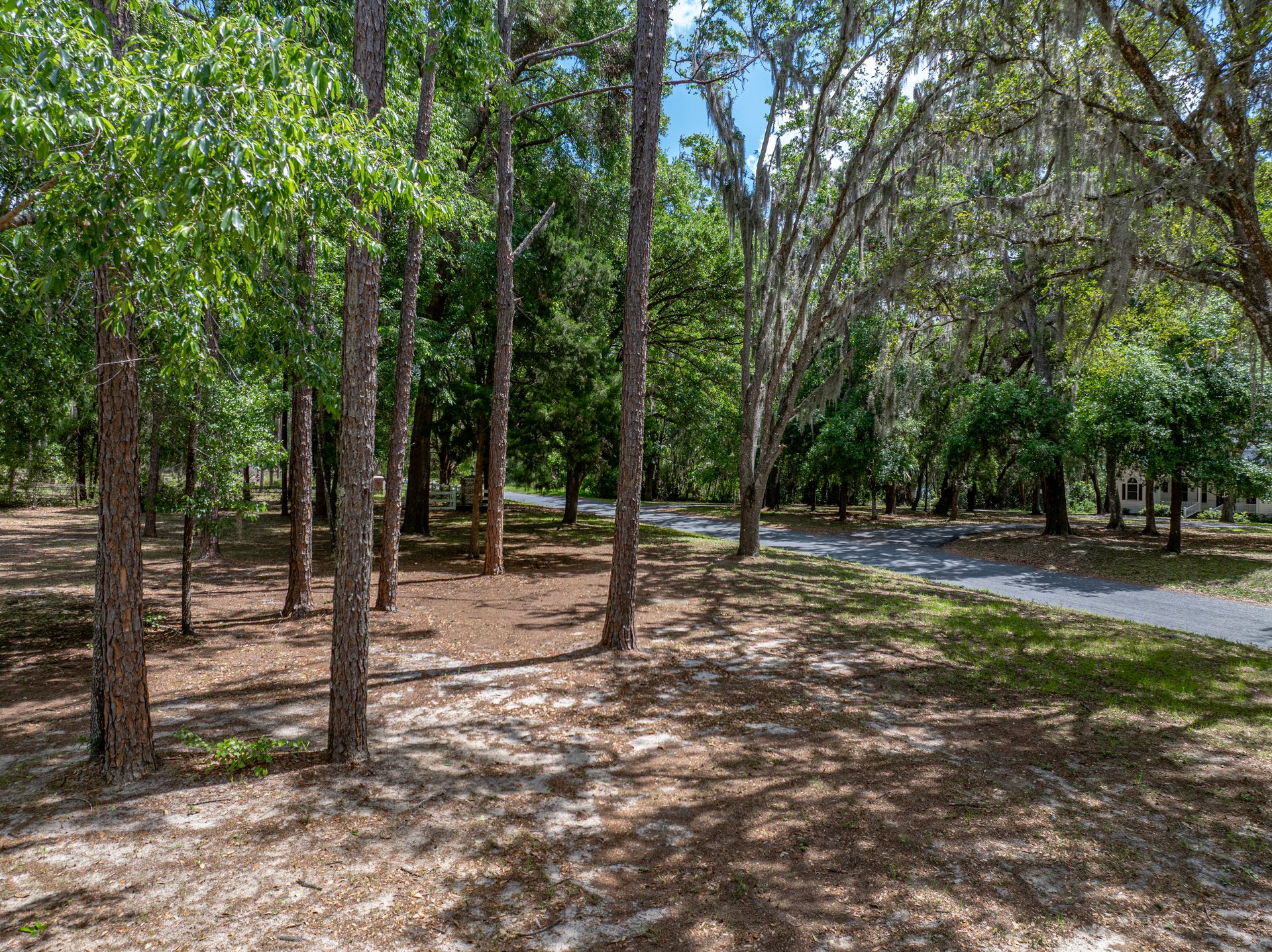31187 REED RD