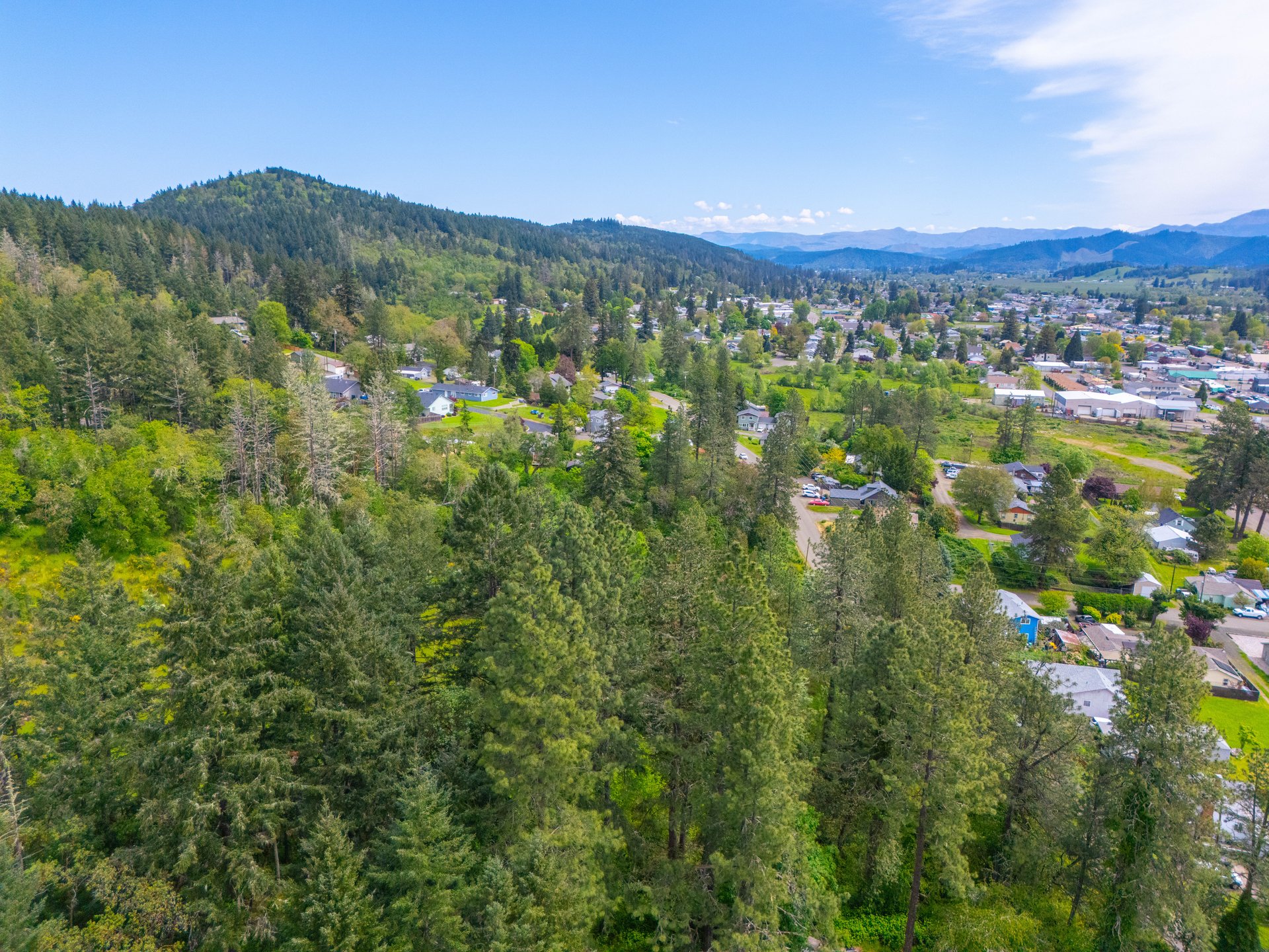 SUTHERLIN WOODLOTS