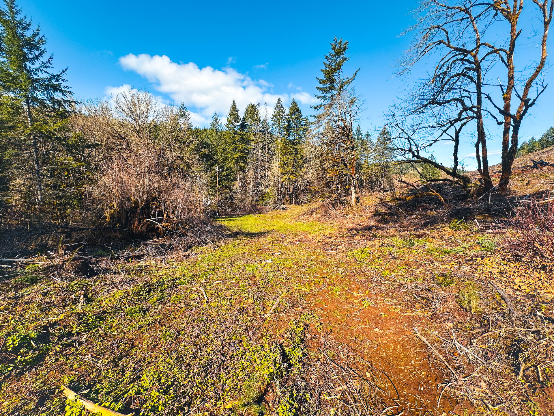 Sharewater Homesite