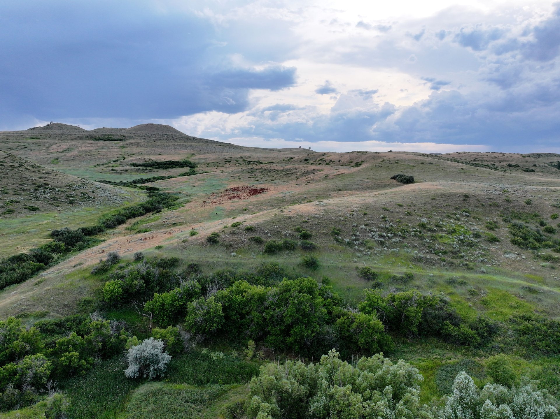 Dutch Creek Ranch 