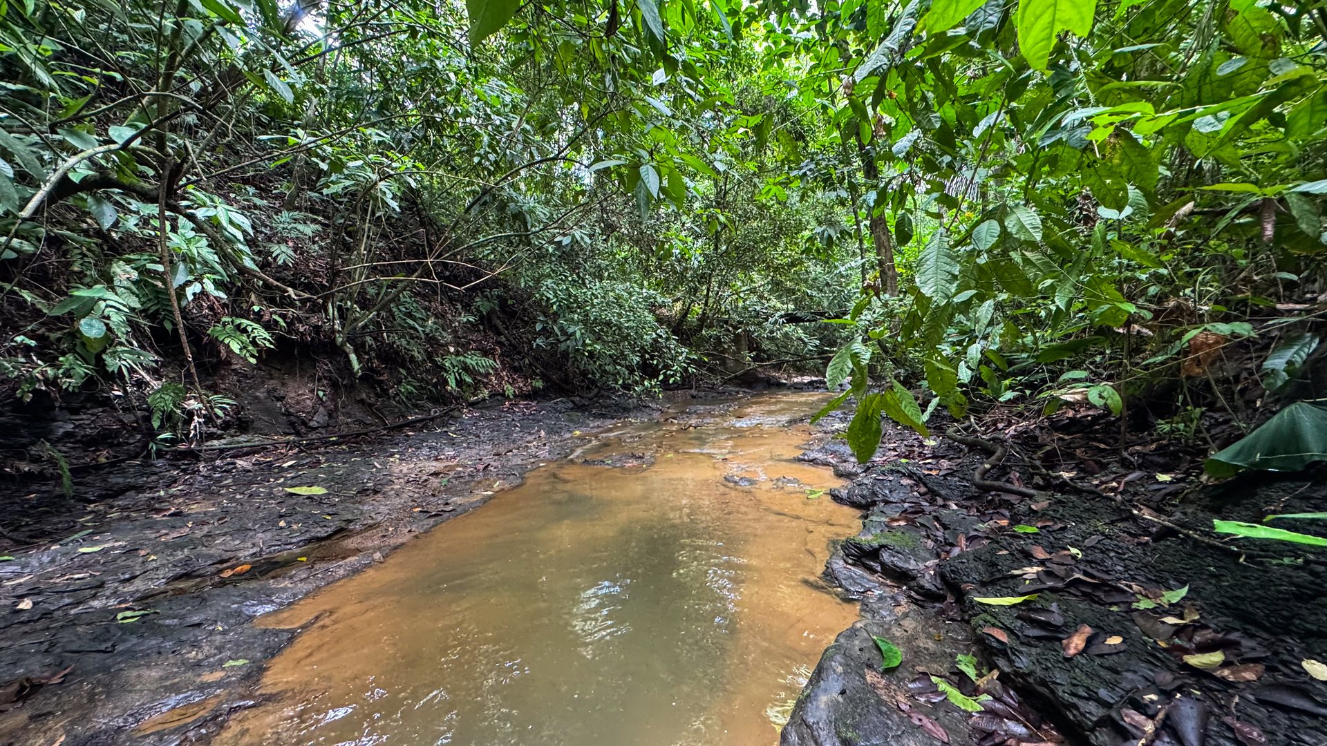 Beautiful Lot Ready to Built in Playa Hermosa, Osa with a Creek