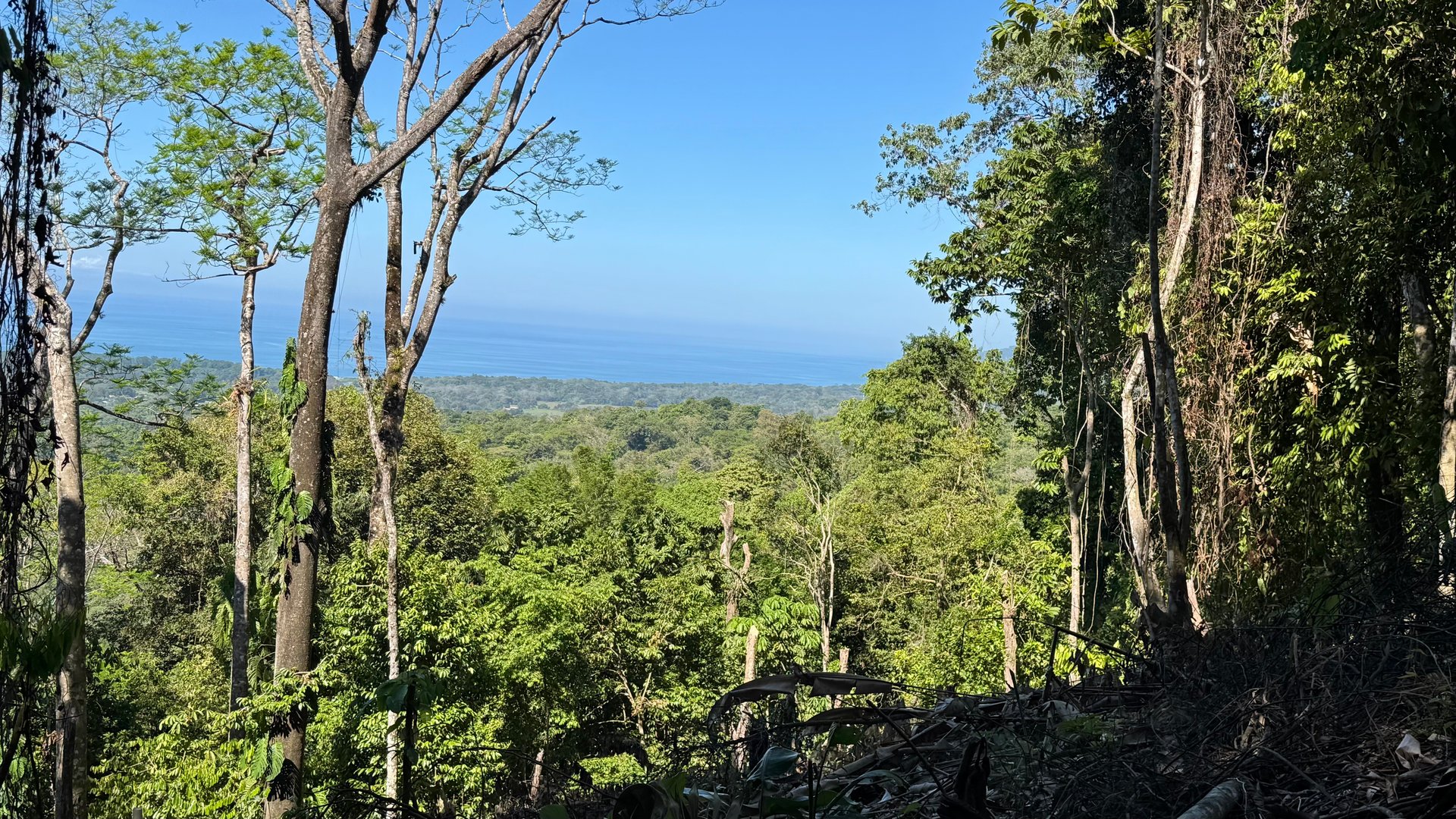 Unique Opportunity, Panoramic Ocean Views of the Whale's Tail Beach!