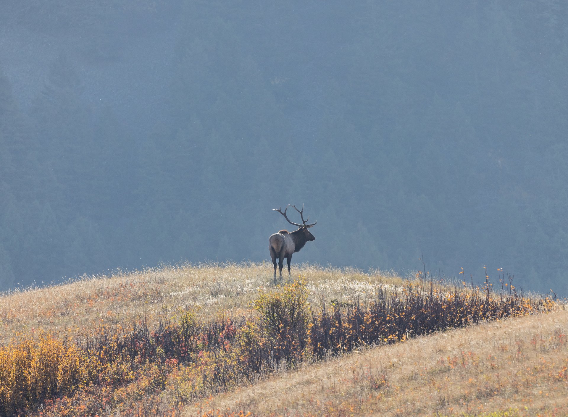 Box Elder Ranch