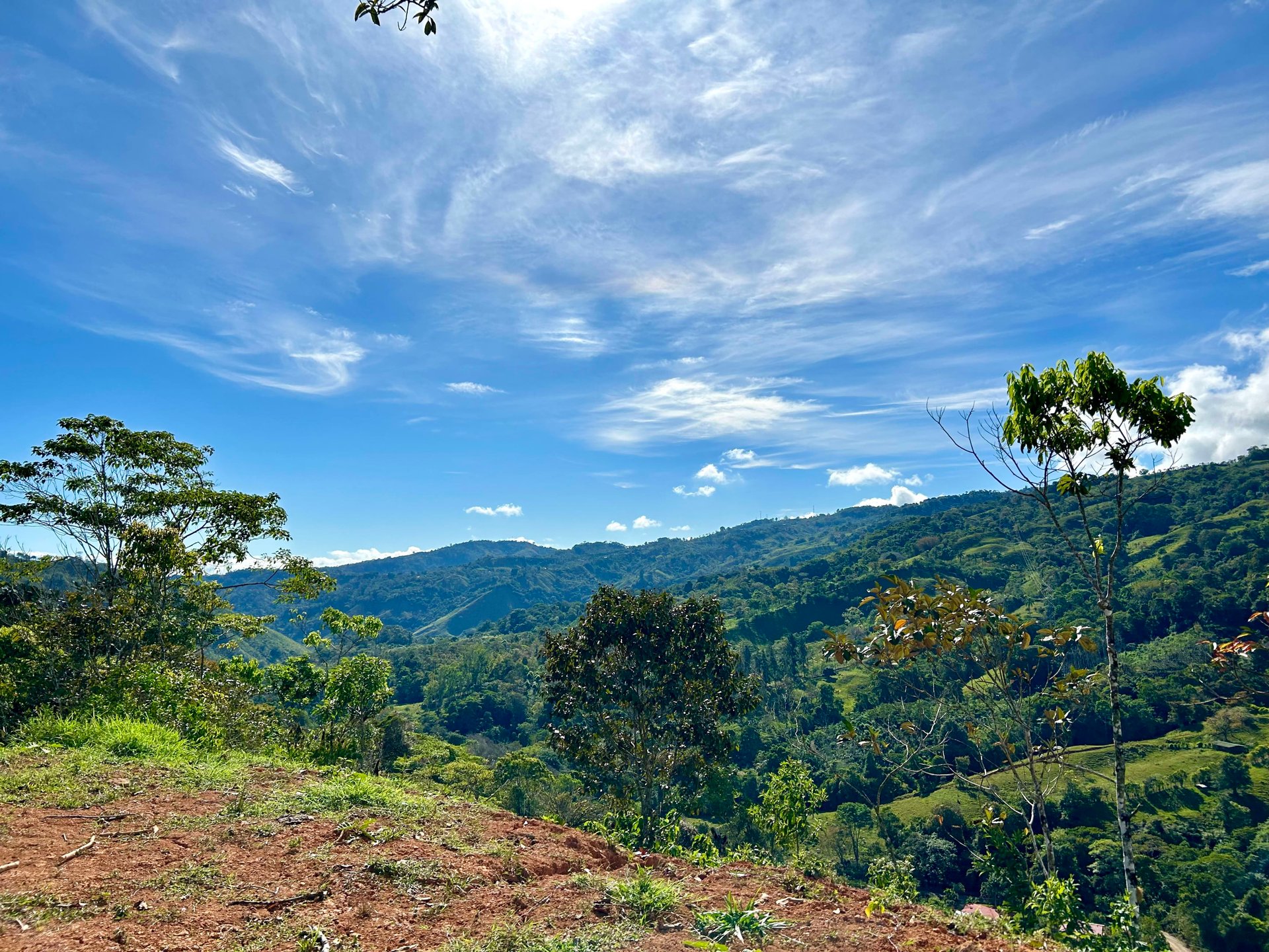 49 Acres Development Farm in San Luis with two Existing Homes 