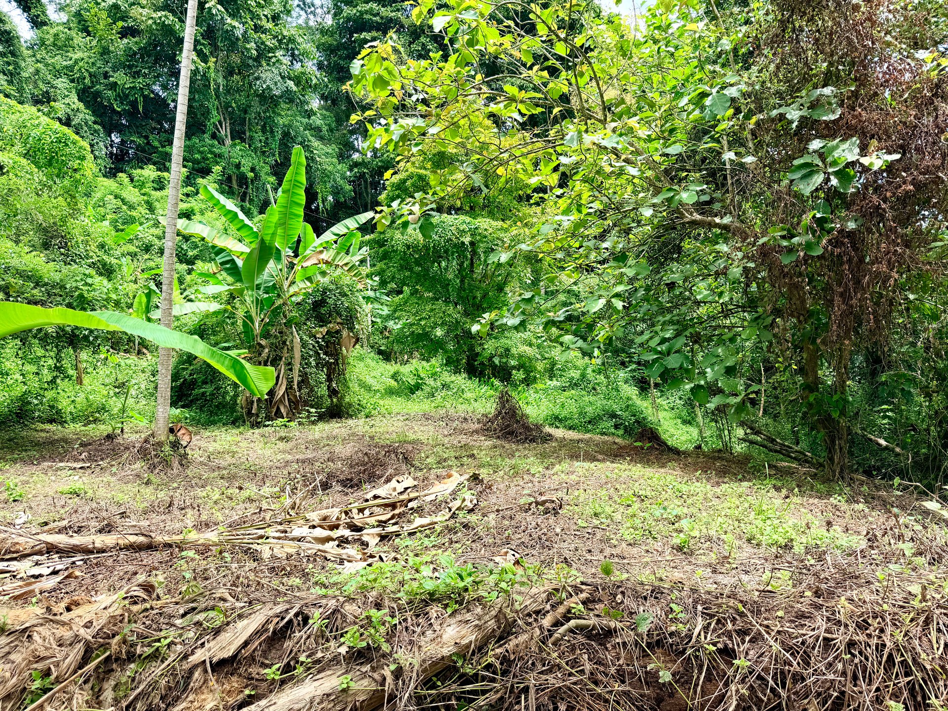 La Unión Road Development – Buildable Lots with River Access in Uvita