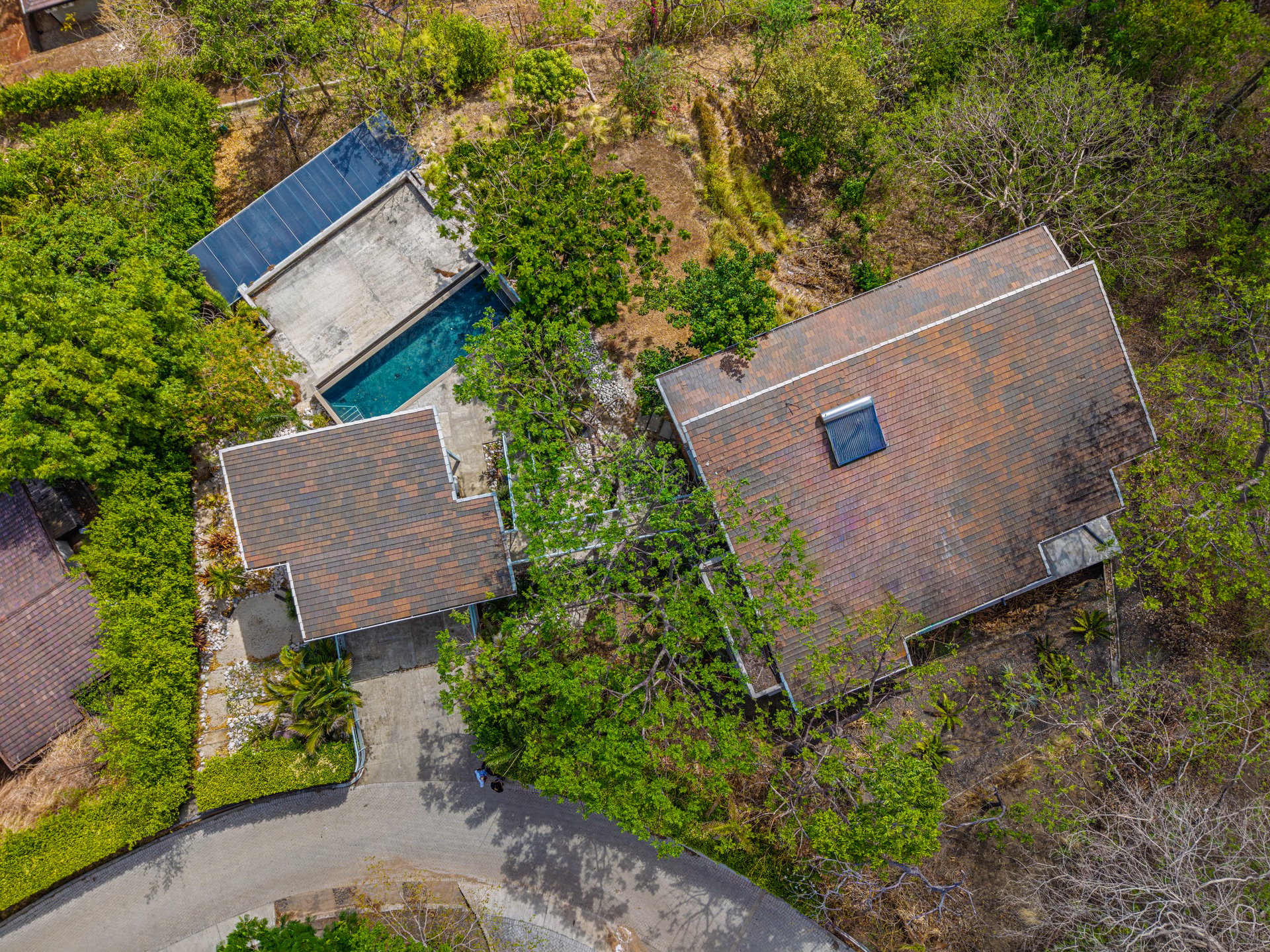 Casa Bosque y Mar | Luxury Ocean & Jungle Retreat in Las Ventanas, Playa Grande