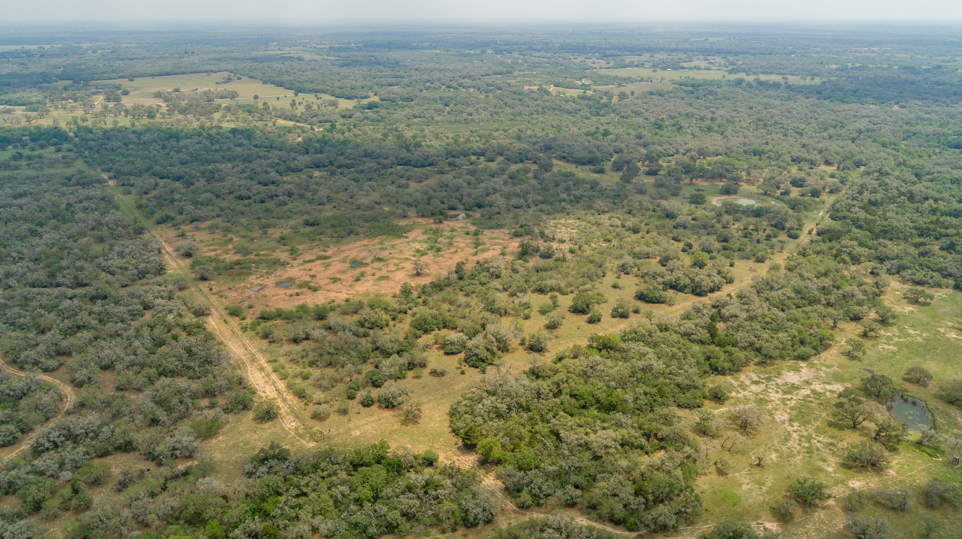 Five Mile Creek Reserve | 252.73± Acres-High Fence | DeWitt County, TX