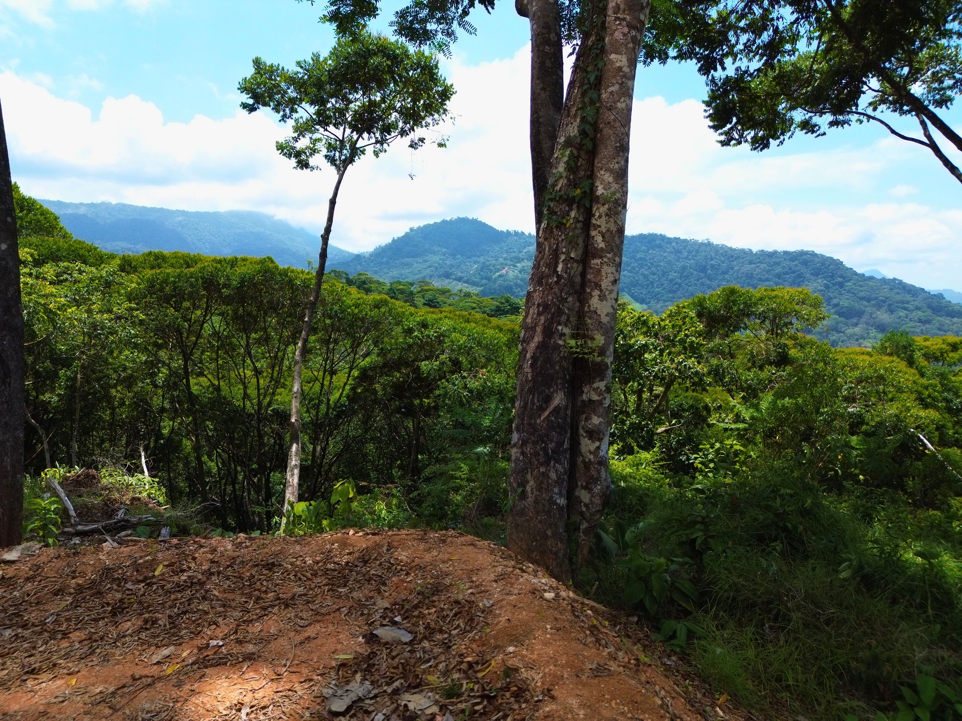Ocean View Land for Sale in Uvita San Josecito with Whale Tail Views and Gated