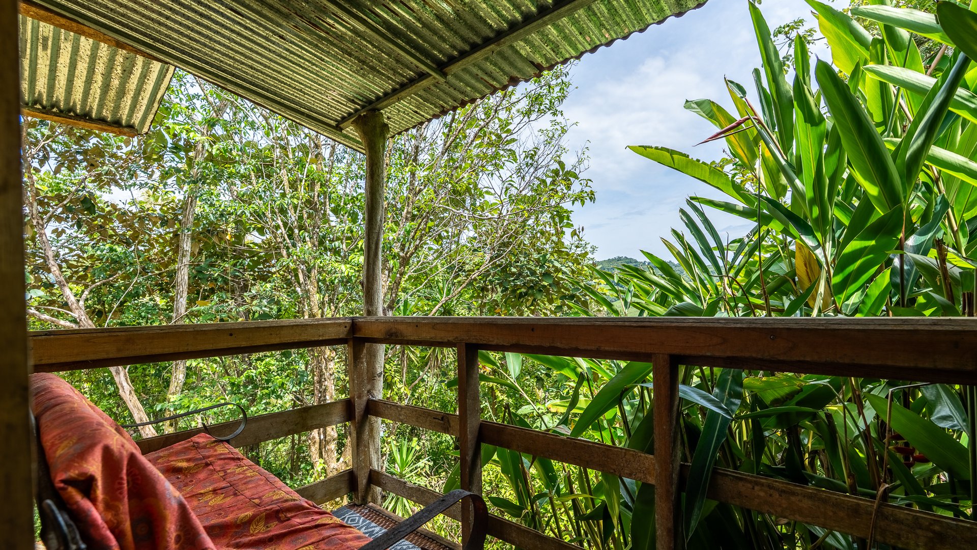 Mountain Home with Guest Cabin & Additional Building Site Near Nauyaca Waterfalls