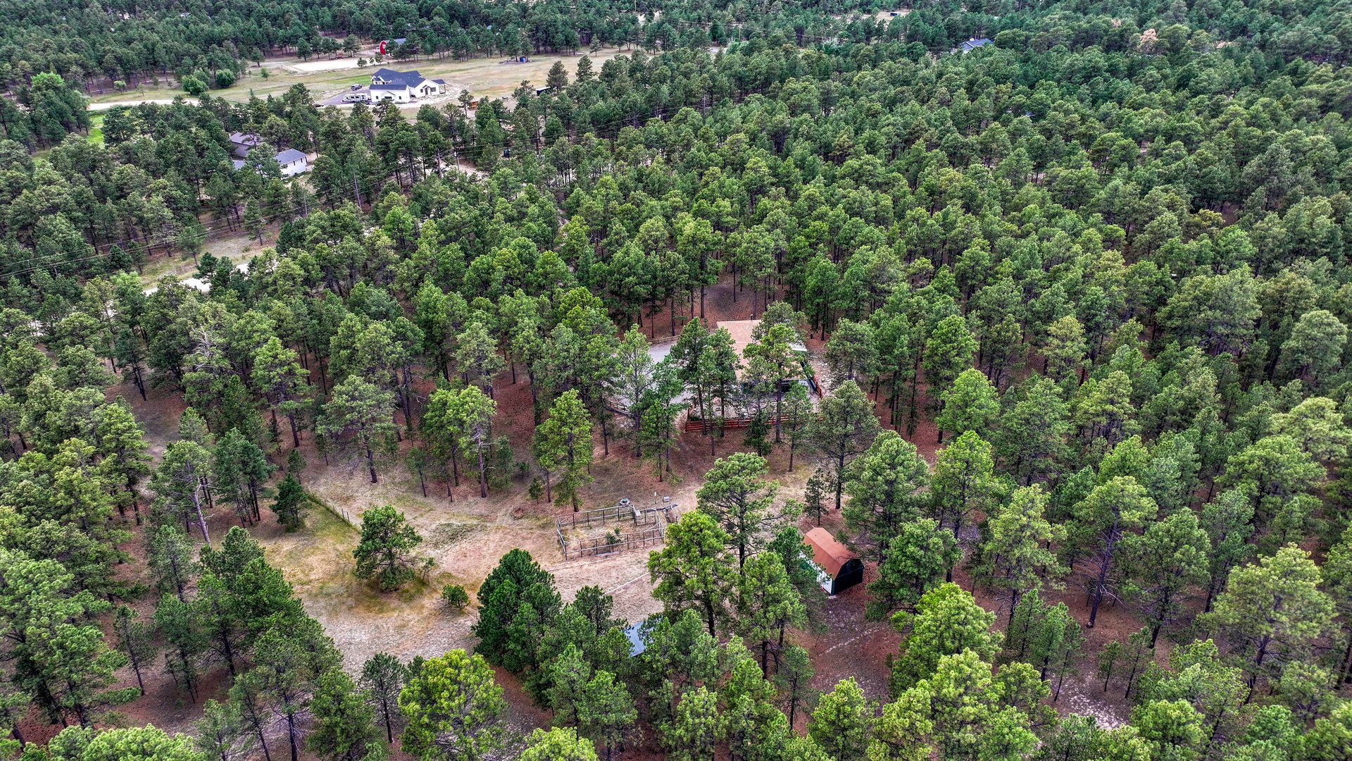 9950 Pine Park Trail