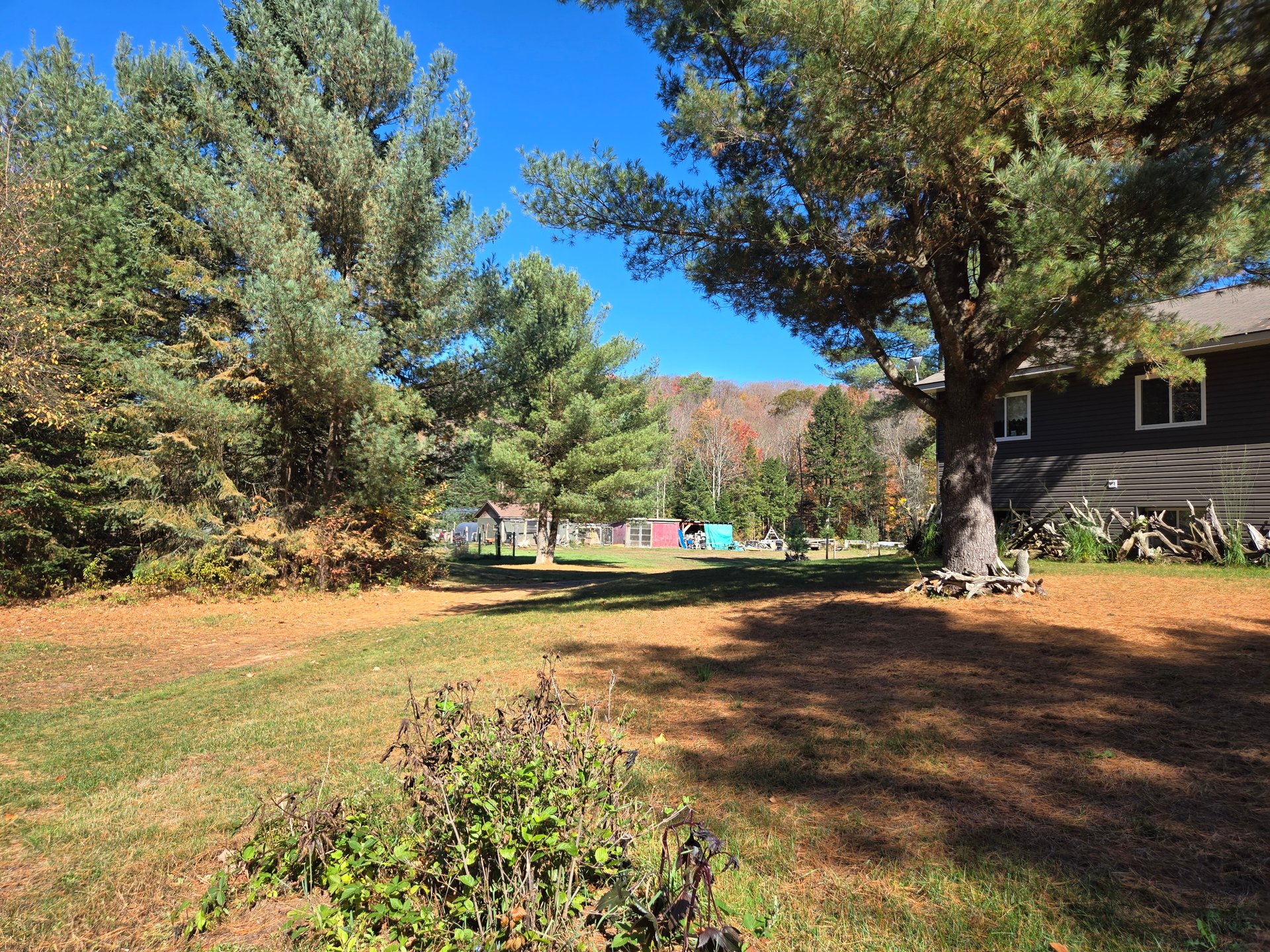 3184 Ravenscliffe Road, Huntsville