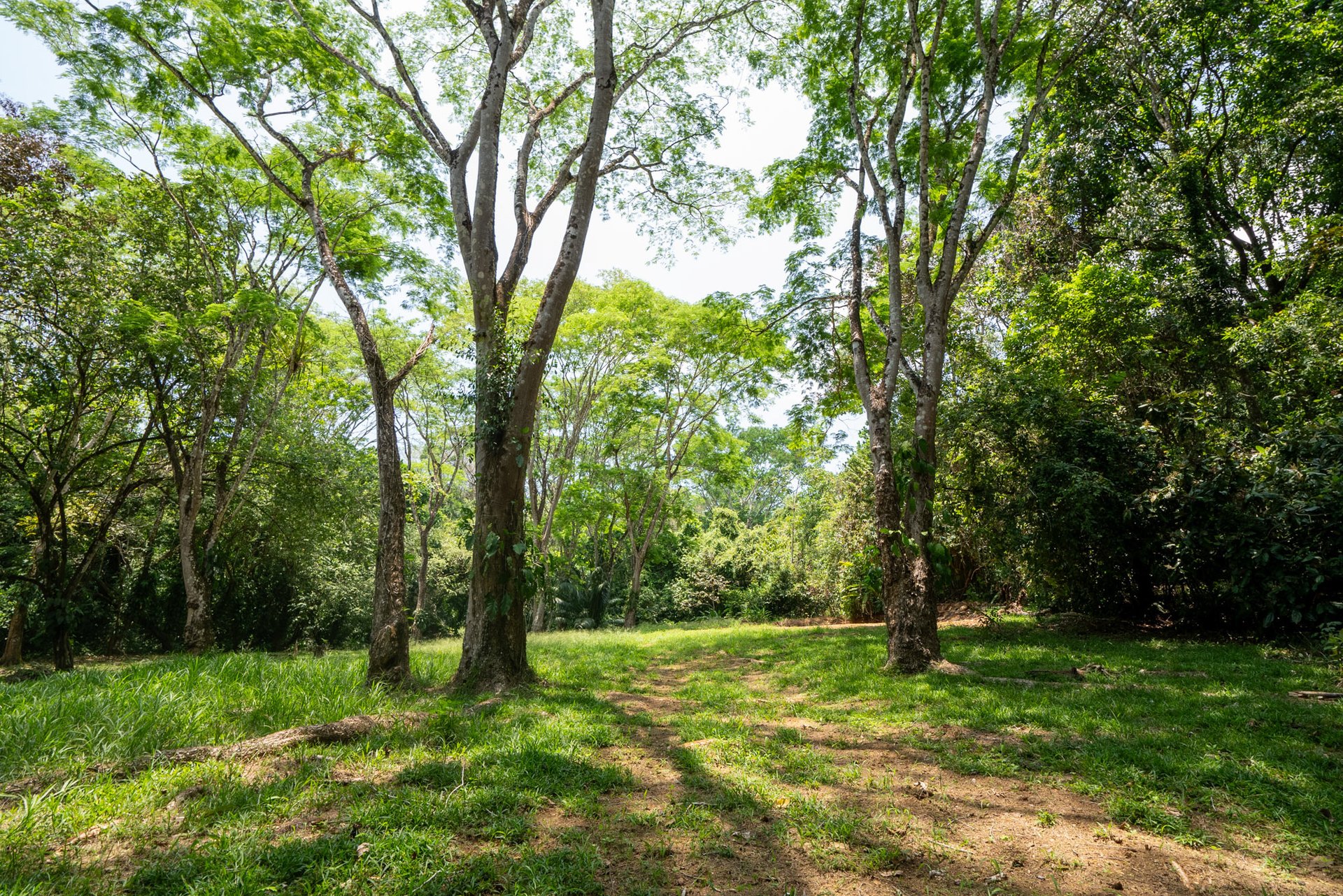 Rare 86-Acre Ocean View Estate Bordering Hacienda Barú – A Unique Opportunity for Conservation and Development