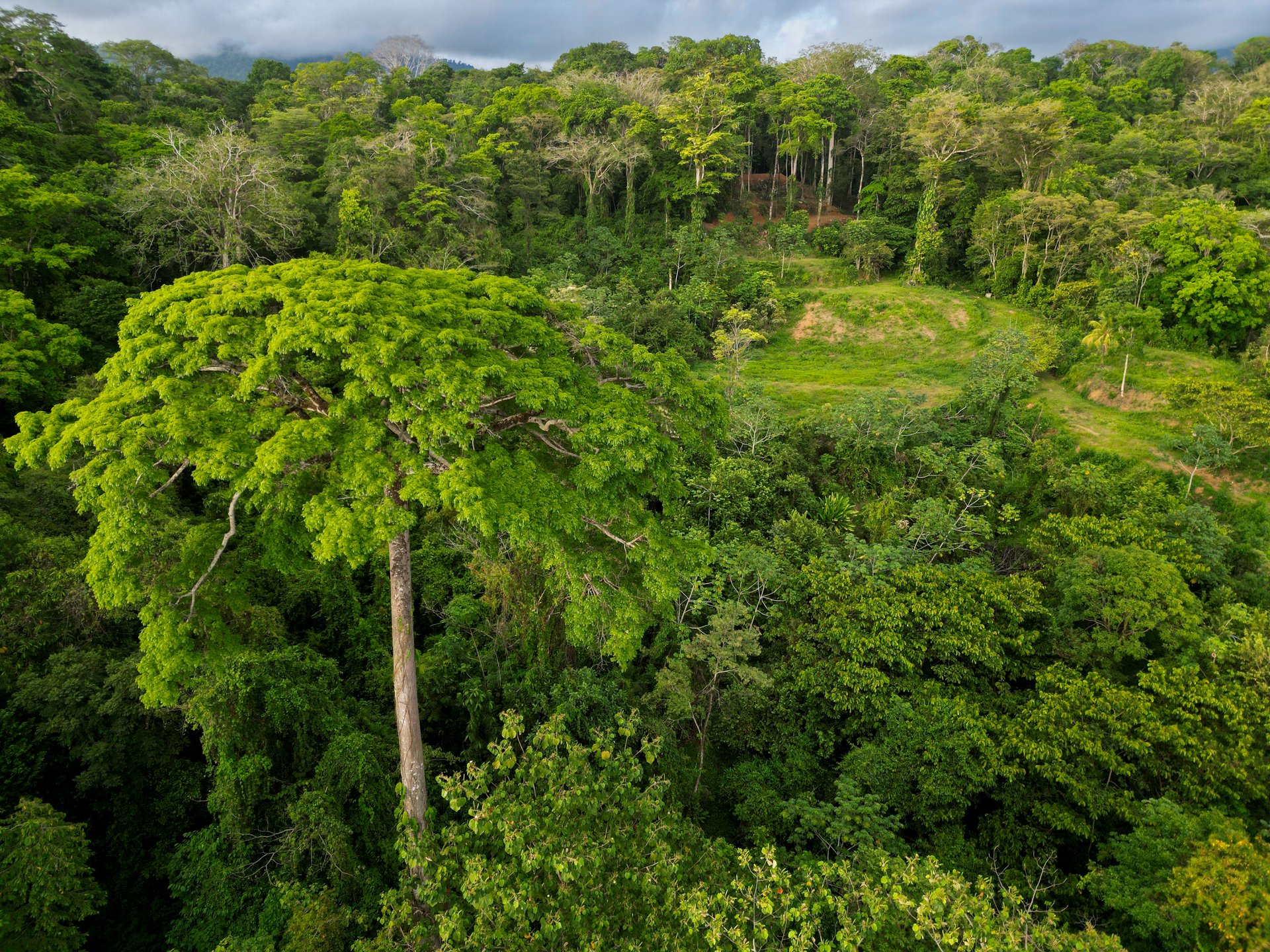 Build Your Vision in Uvita – 15.9 Ocean View Acres with Easy Access + Utilities Ready!