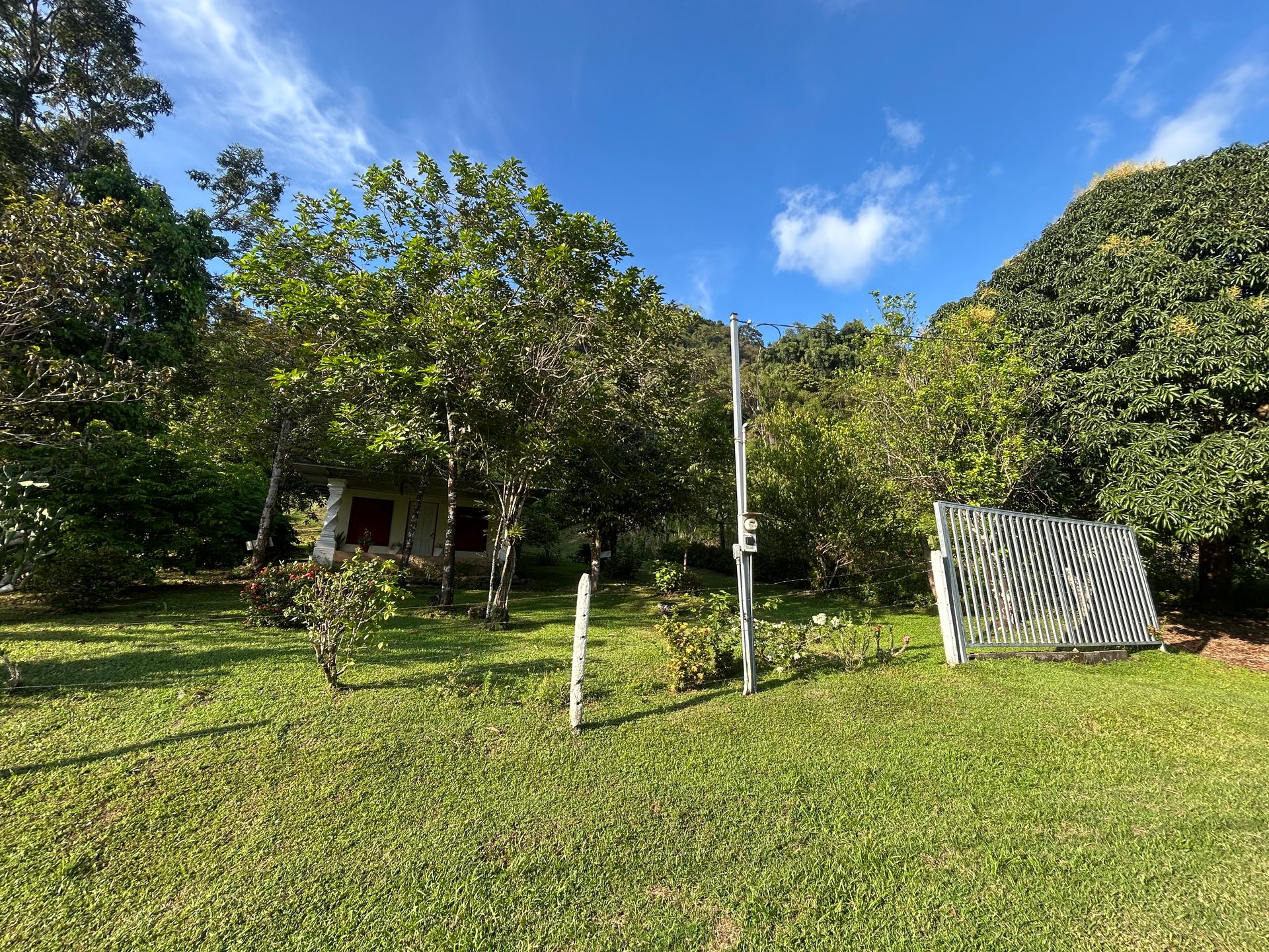 Commercial & Residential Property in Punta Mala with Producing Fruit Trees