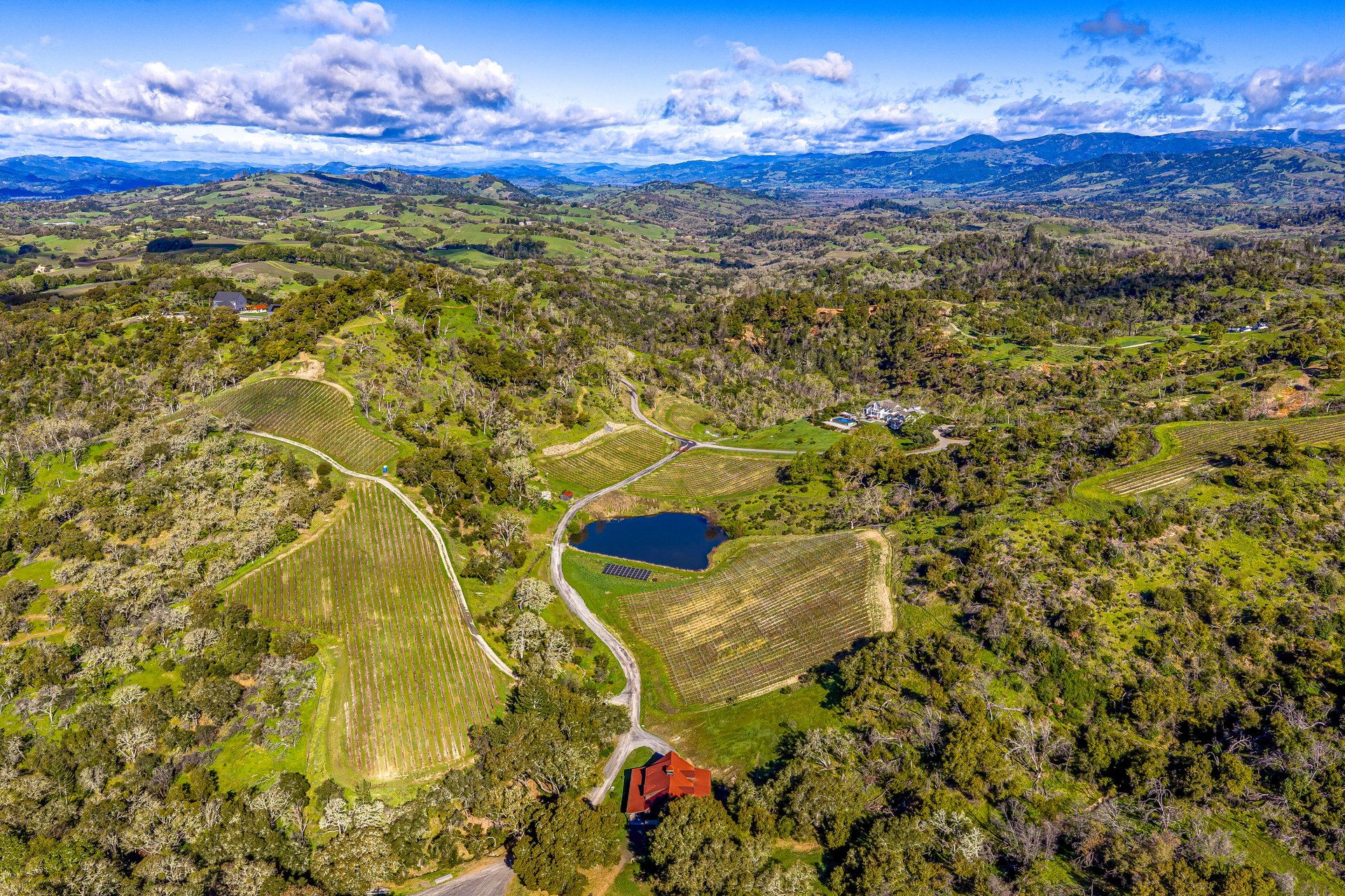 The Clearview Estate
