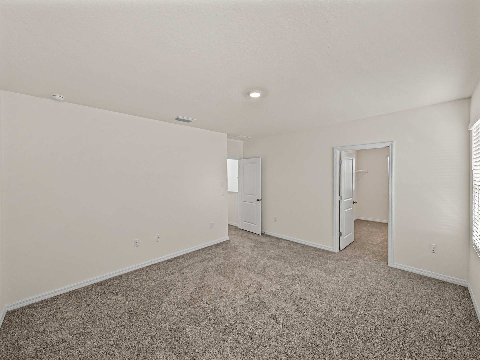 30739 PENNY SURF LOOP