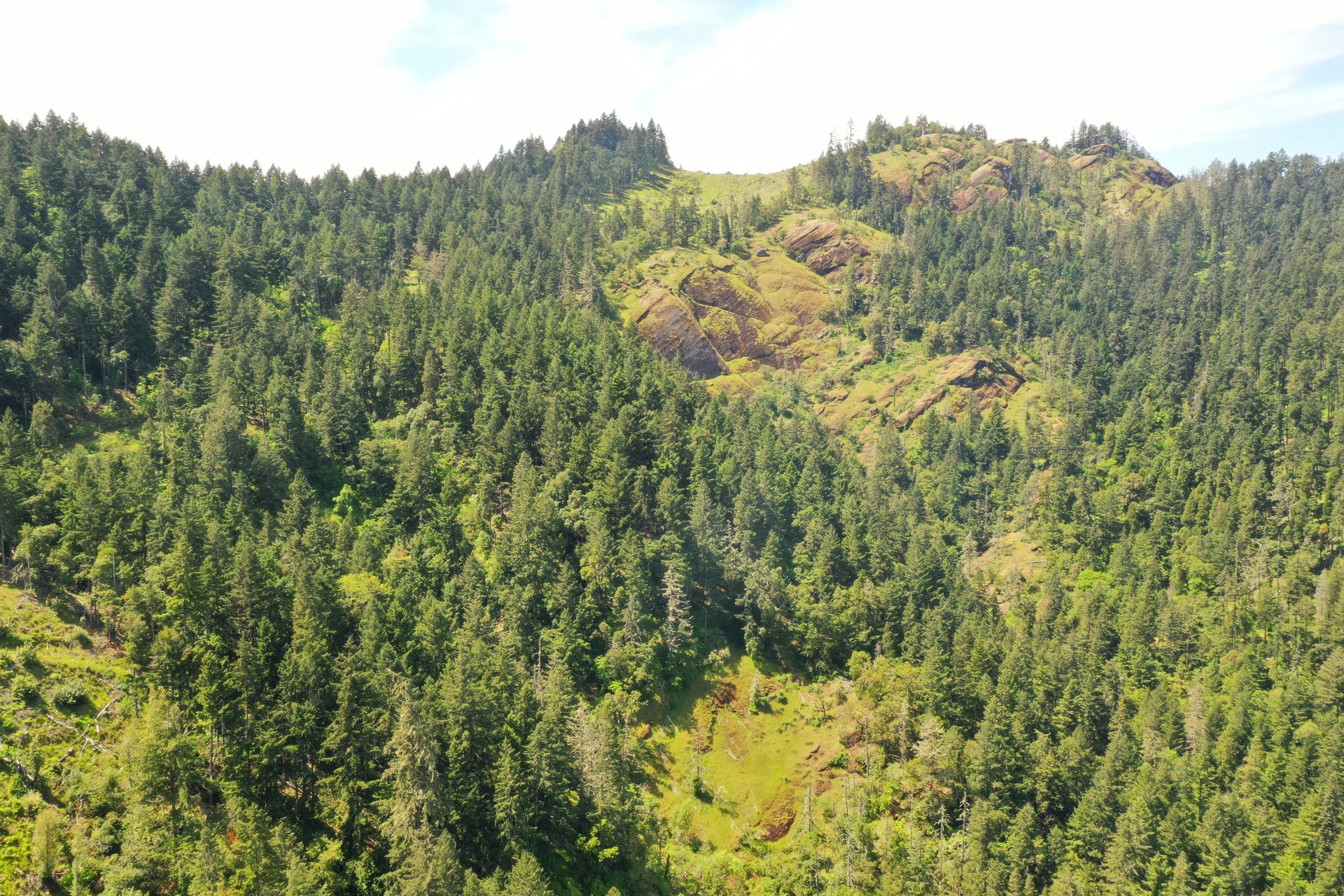 STRICKLAND BOULDER FOREST