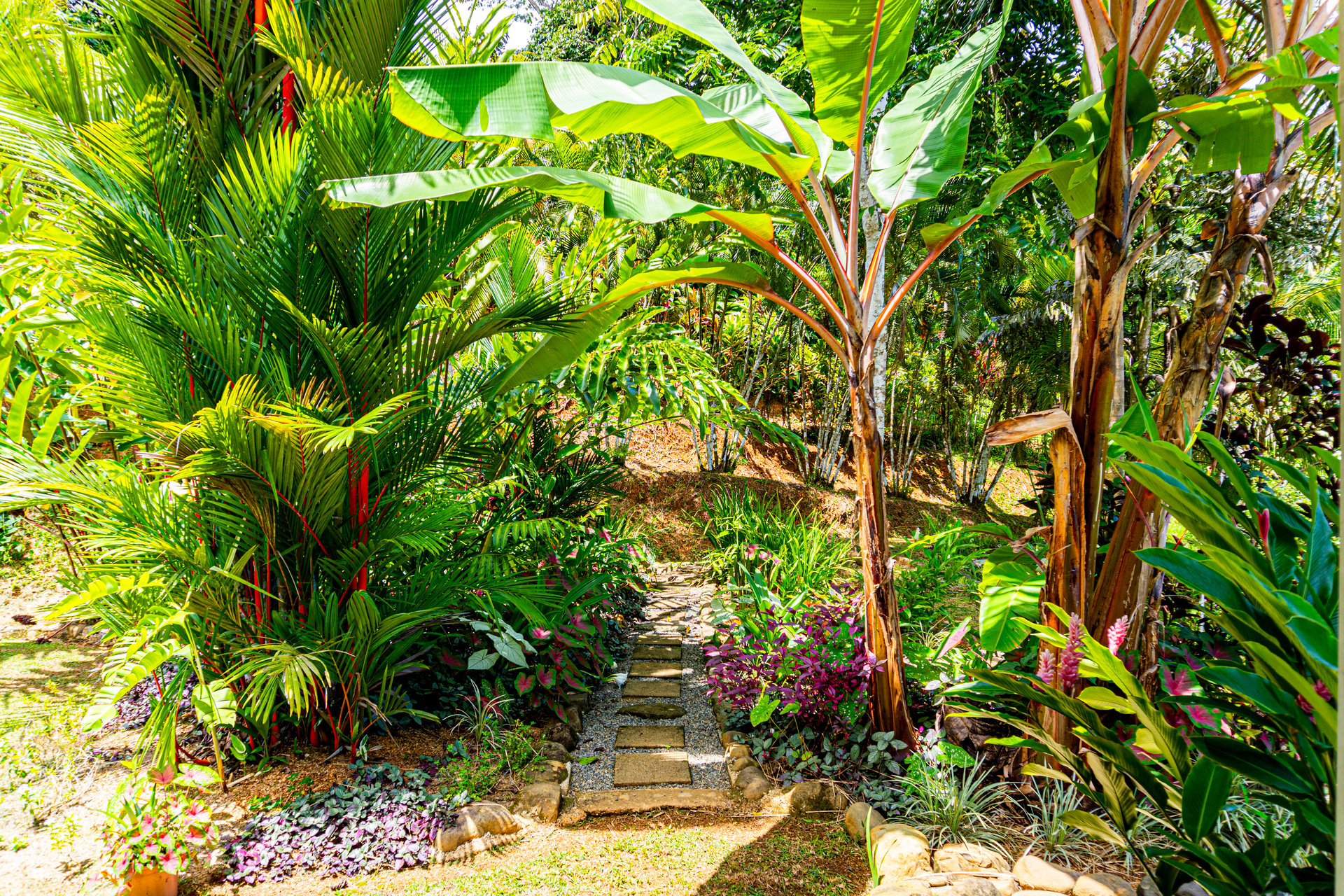 Casa Vista Hermosa