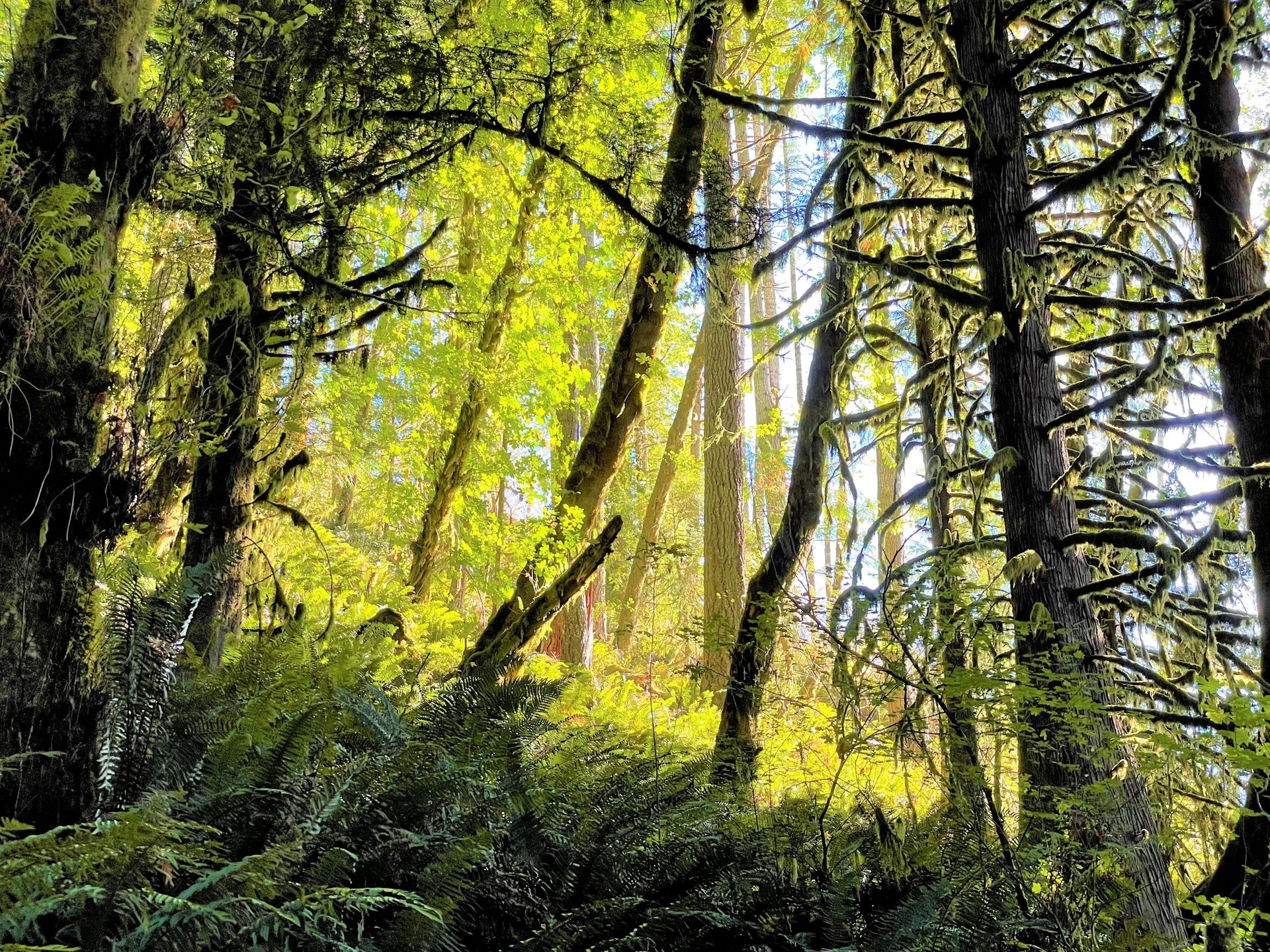 Honey Grove Creek