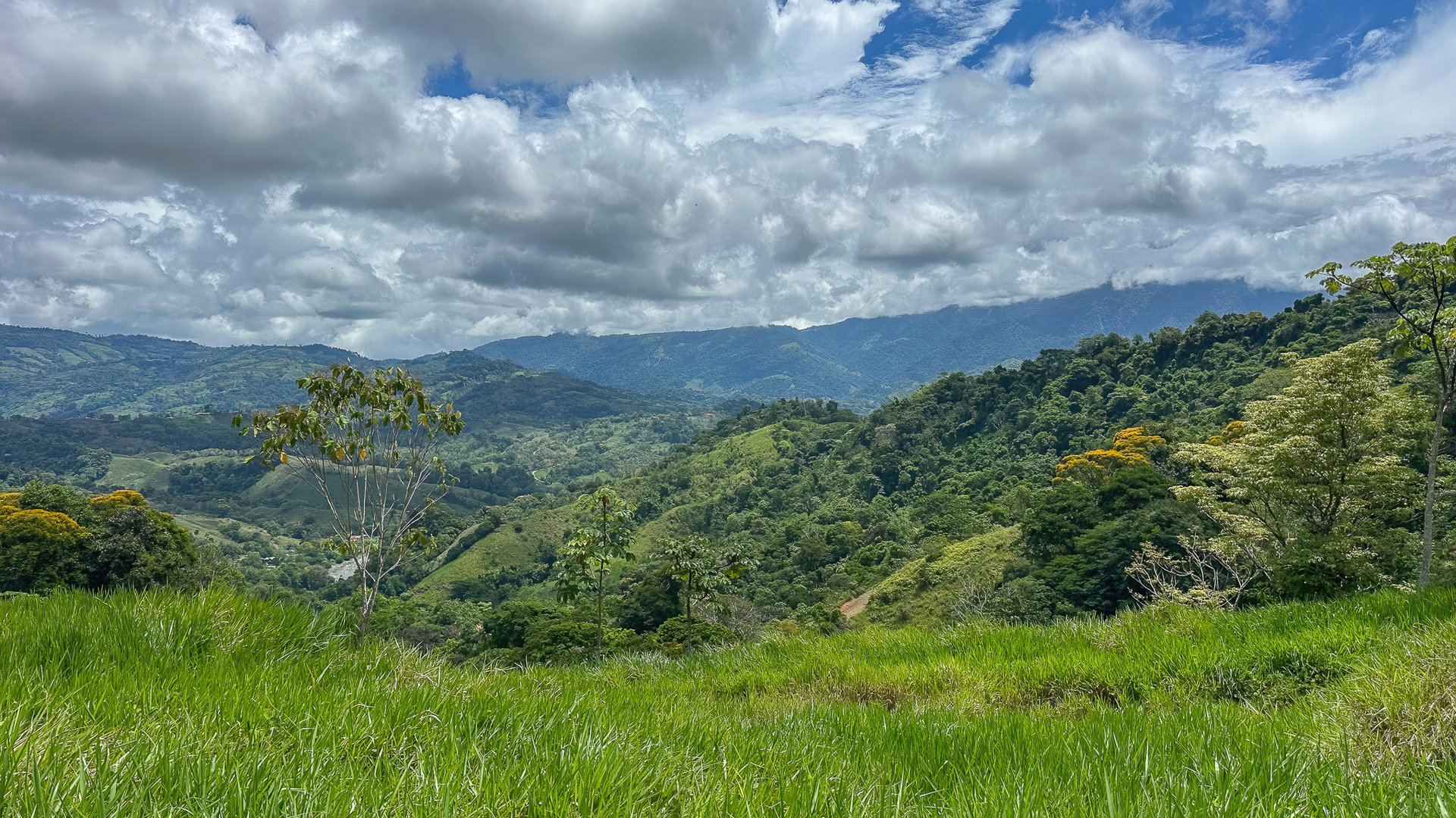 60+ Hectares in Platanillo | Own Your Own Mountain in Costa Rica