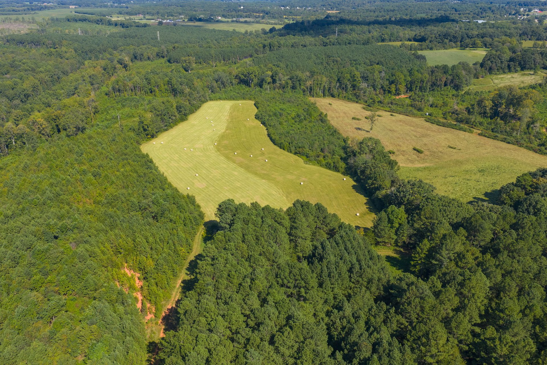 160 Acre Estate with Mountain Views