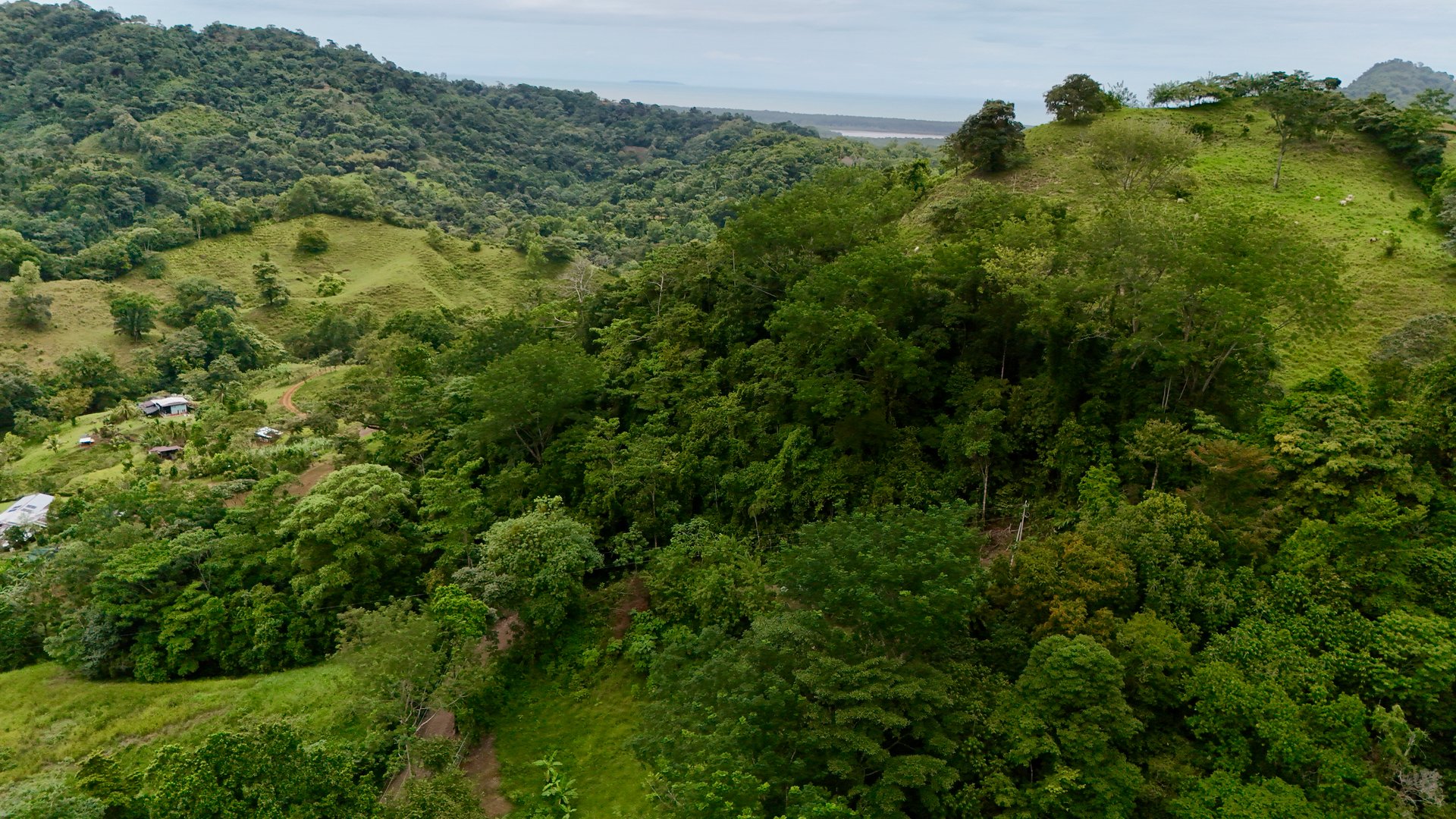 Tres Ríos Jungle Sanctuary | Ready-to-Build Lot Surrounded by Nature