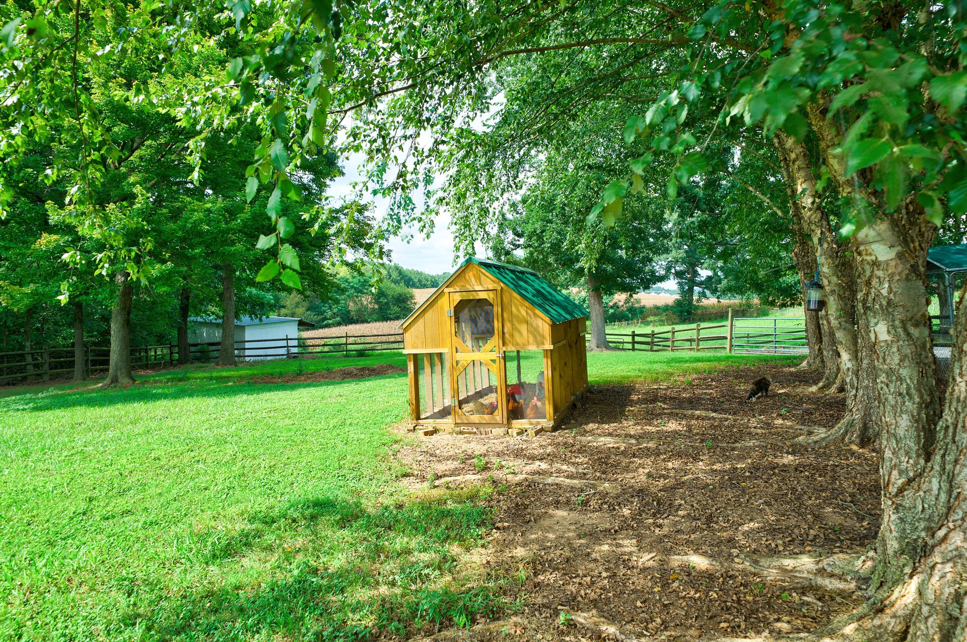 29-Acre Equestrian Estate with 14-Stall Barn