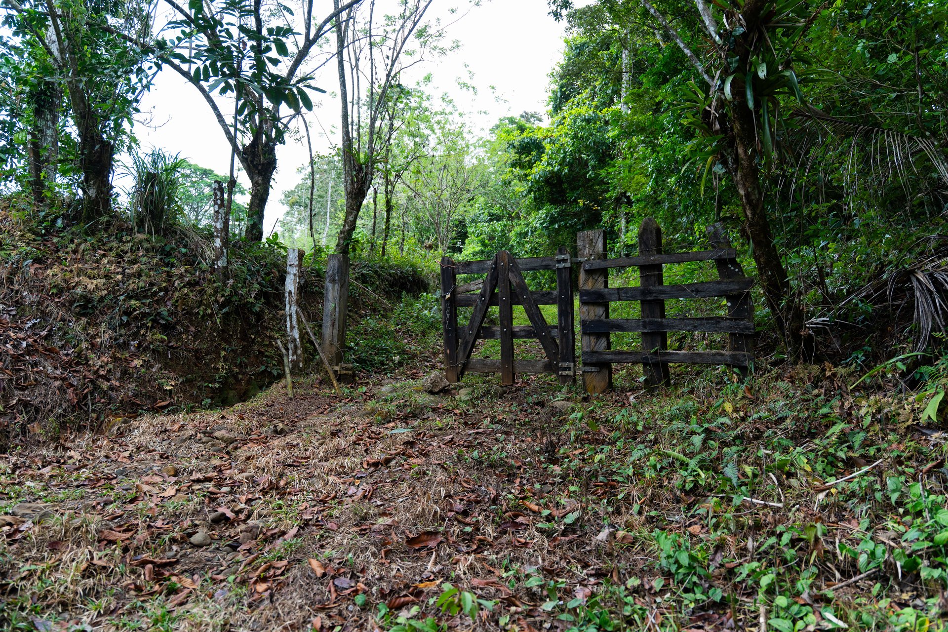 Finca Las Zompopas-Río Celeste | 113-Acre Biodiverse Property in Bijagua, Ideal for Eco-Tourism, Private Retreats, or Sustainable Development