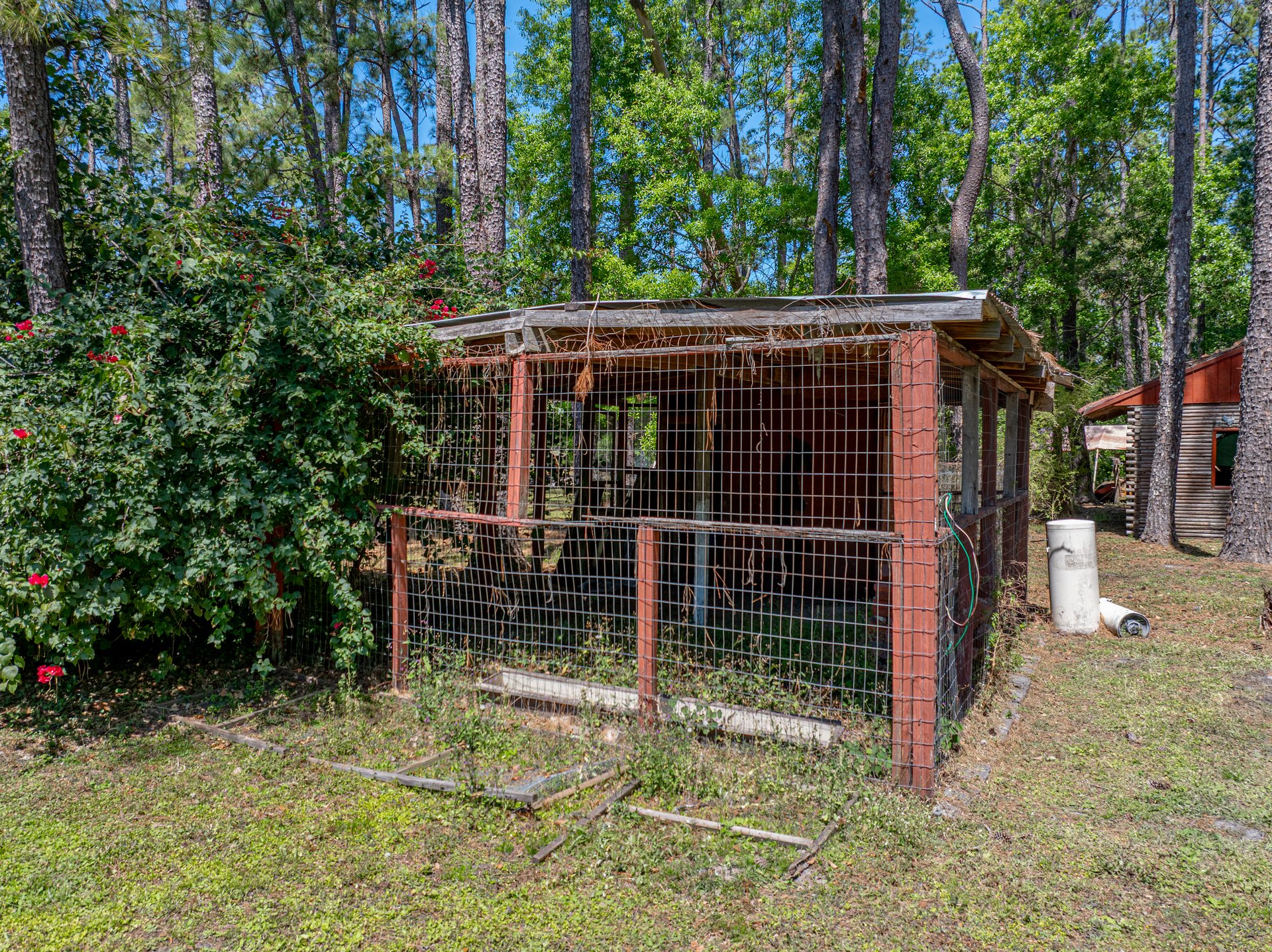 30237 SAINT JOE RD