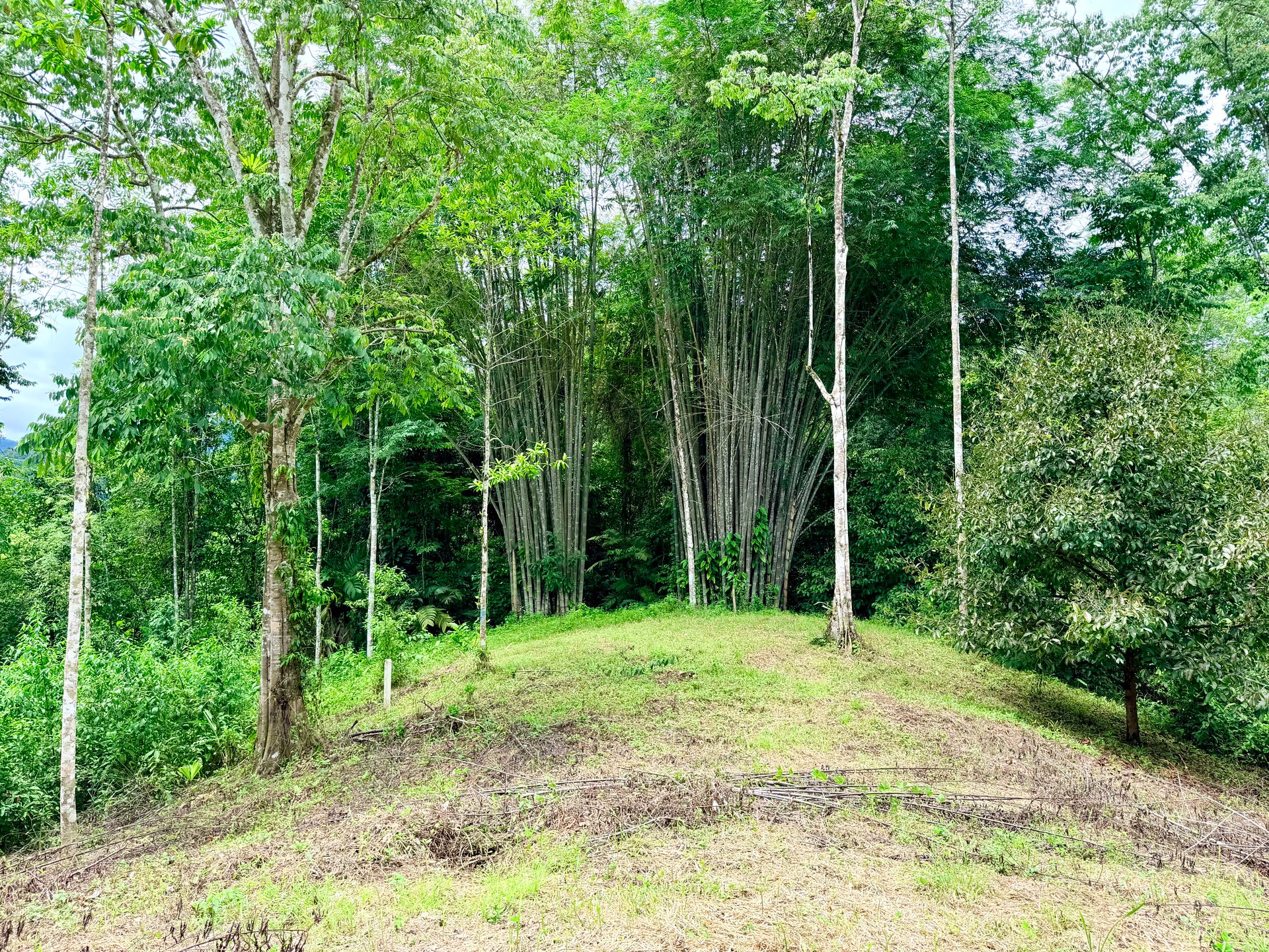 La Unión Road Development – Buildable Lots with River Access in Uvita