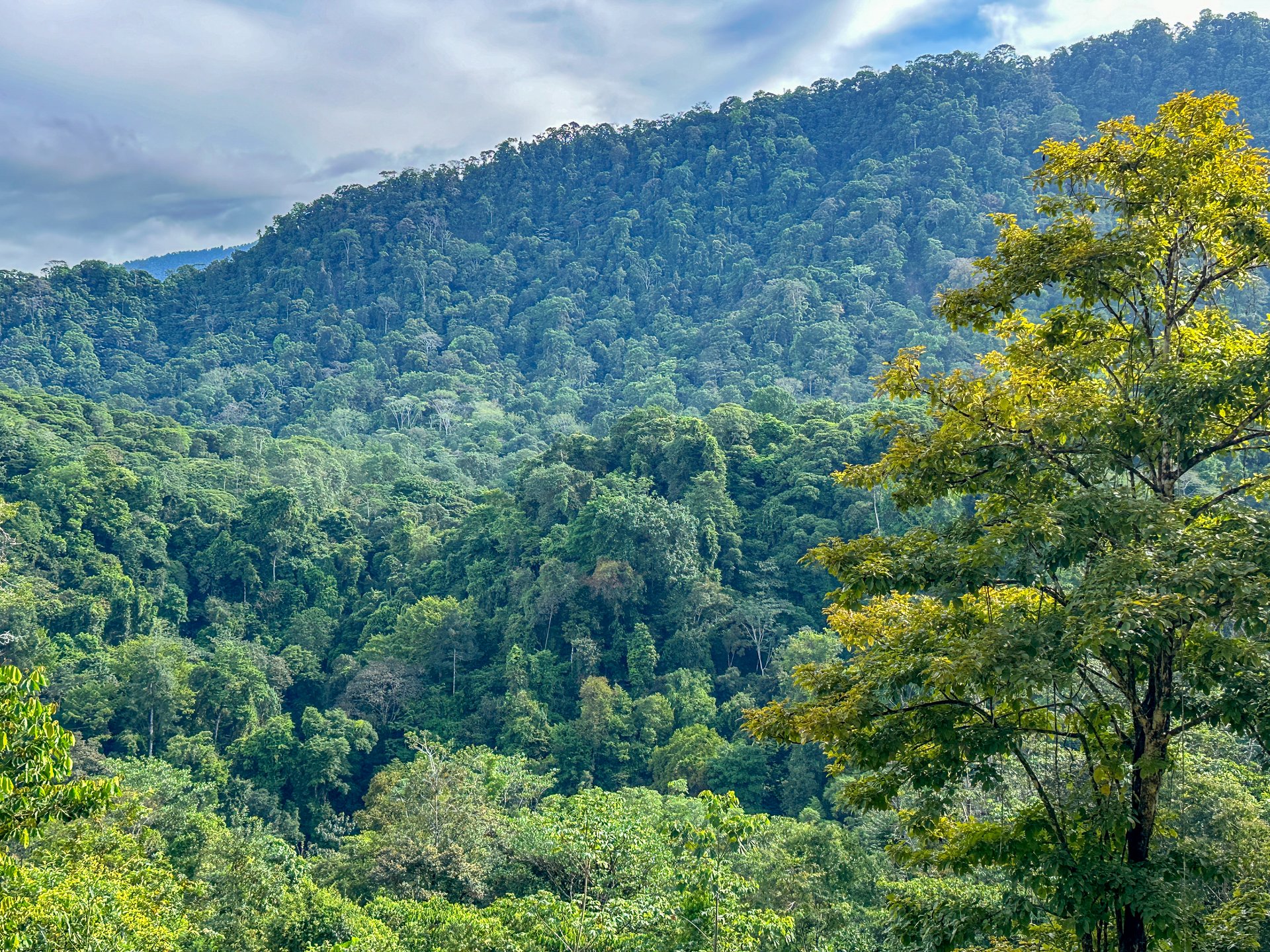 Jungle, Mountain & Valley View Lot with Two Large Plantels, Bordering a Crystal Mountain River with Swimholes & a Waterfall