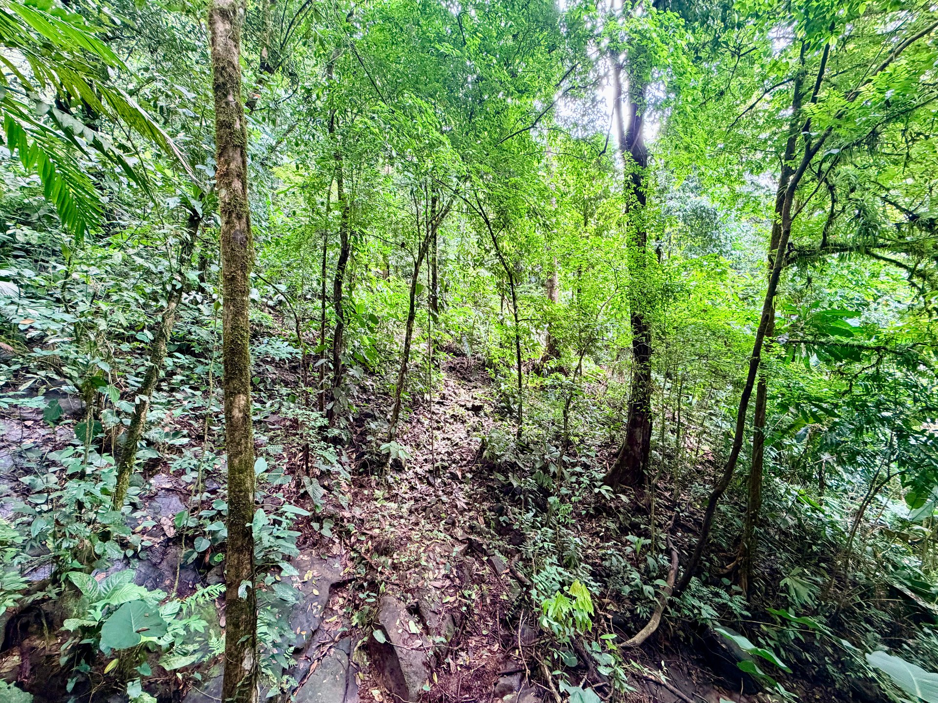 La Unión Road Development – Buildable Lots with River Access in Uvita