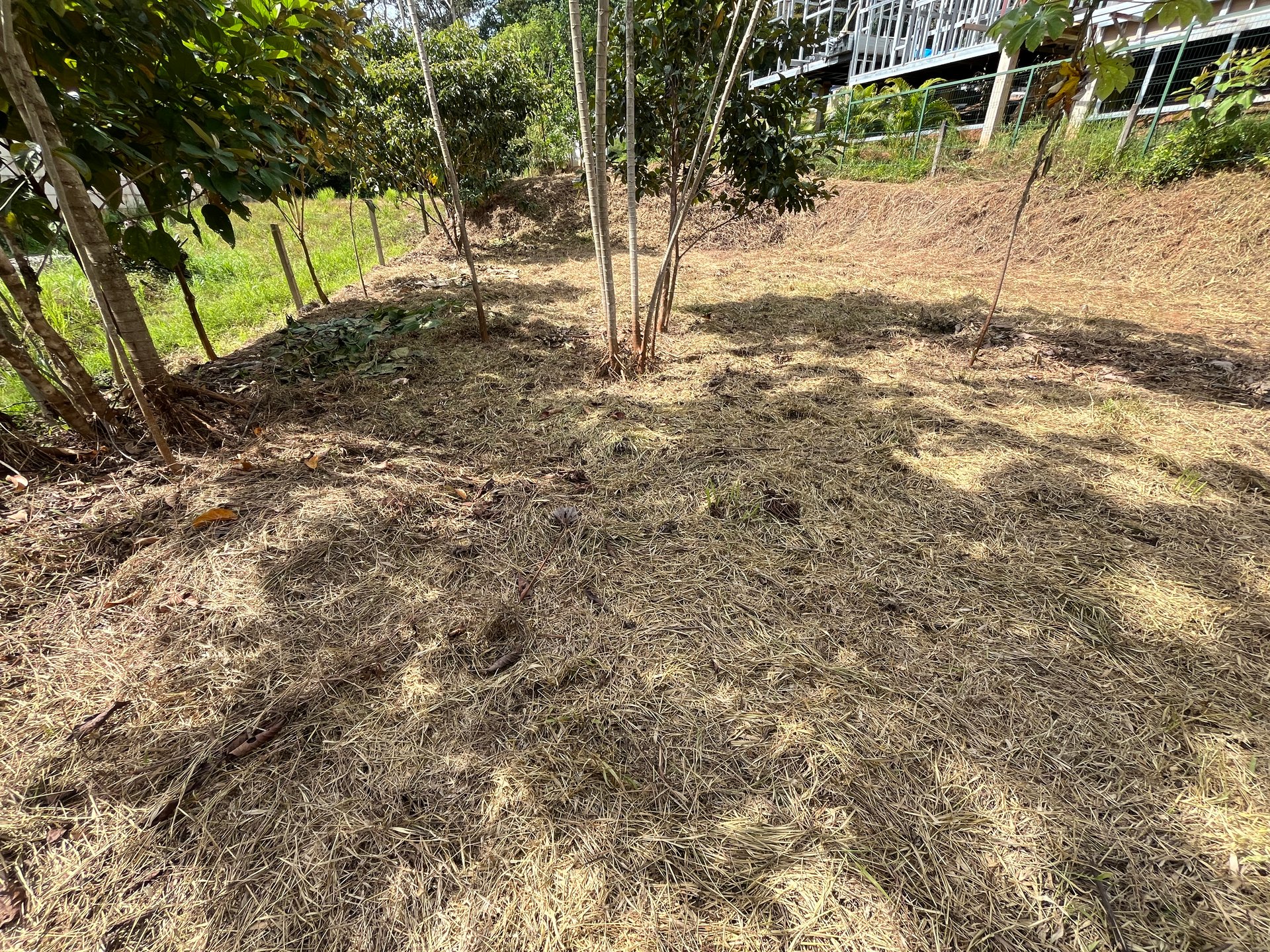 Affordable Uvita Lot UNDER $200-per-sqm - Perfect for Your Dream Home or Airbnb Investment