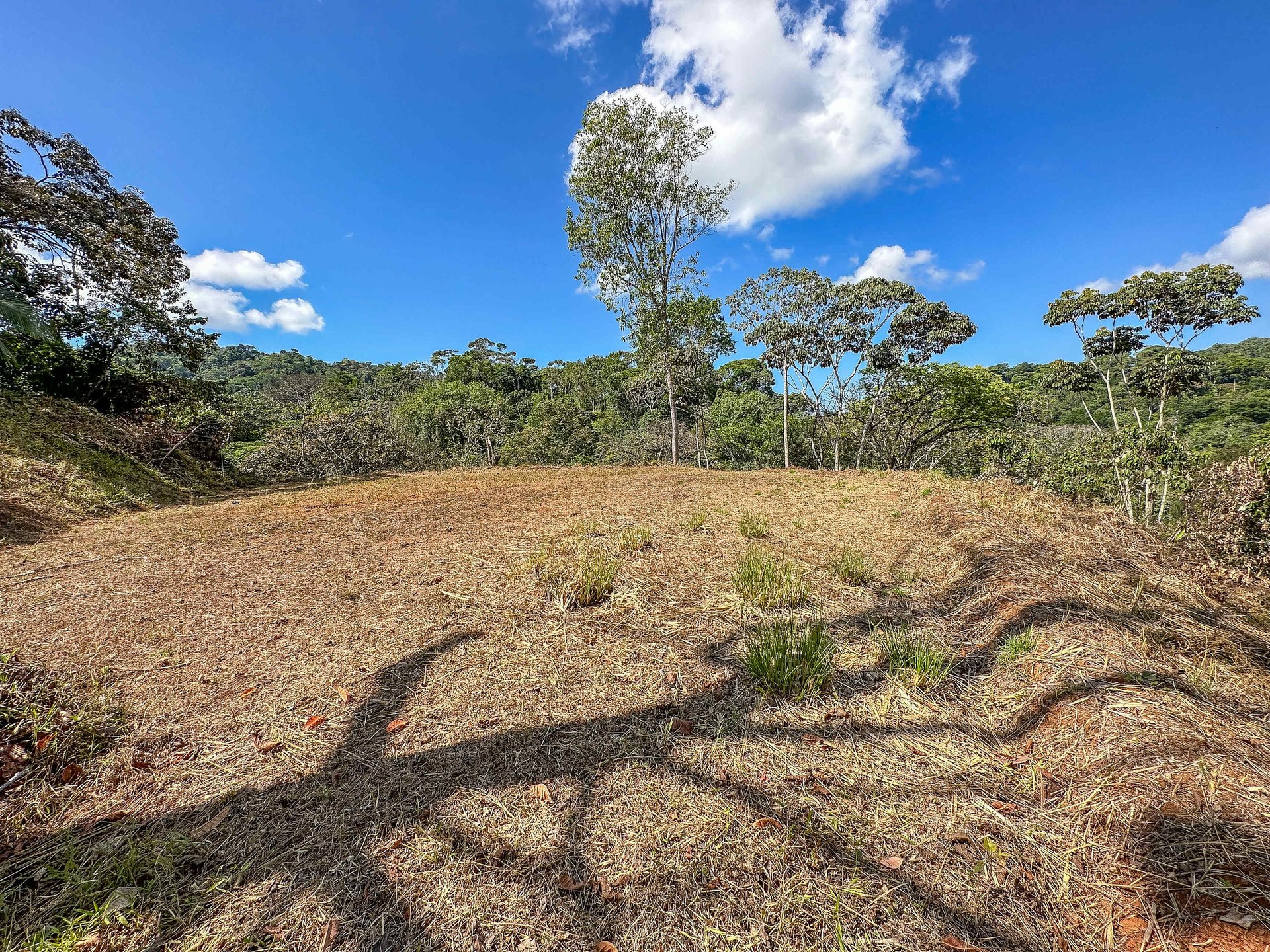 Lot With Two Plantels, Panoramic Mountain And Jungle Views