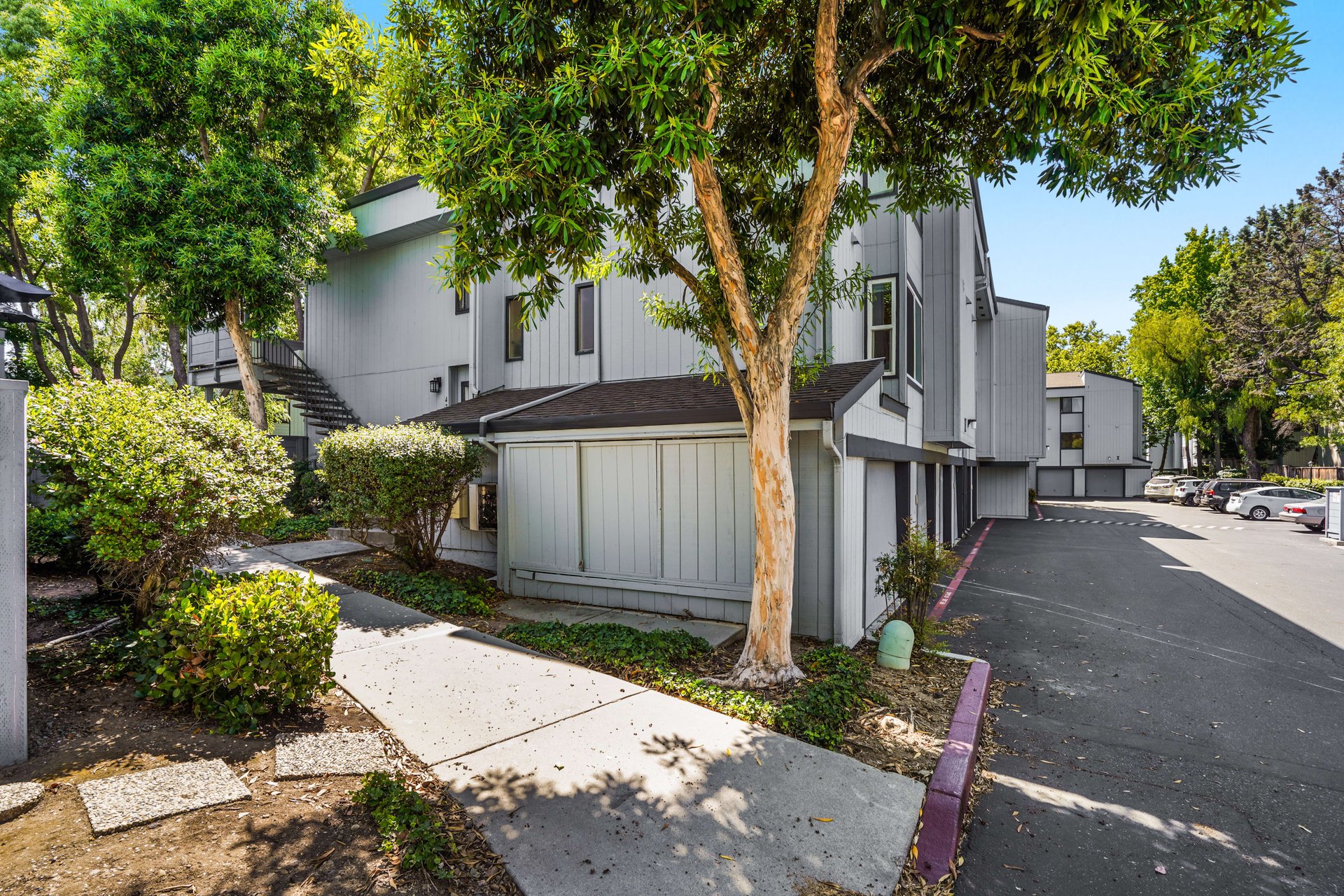 4779 Pine Forest Lane