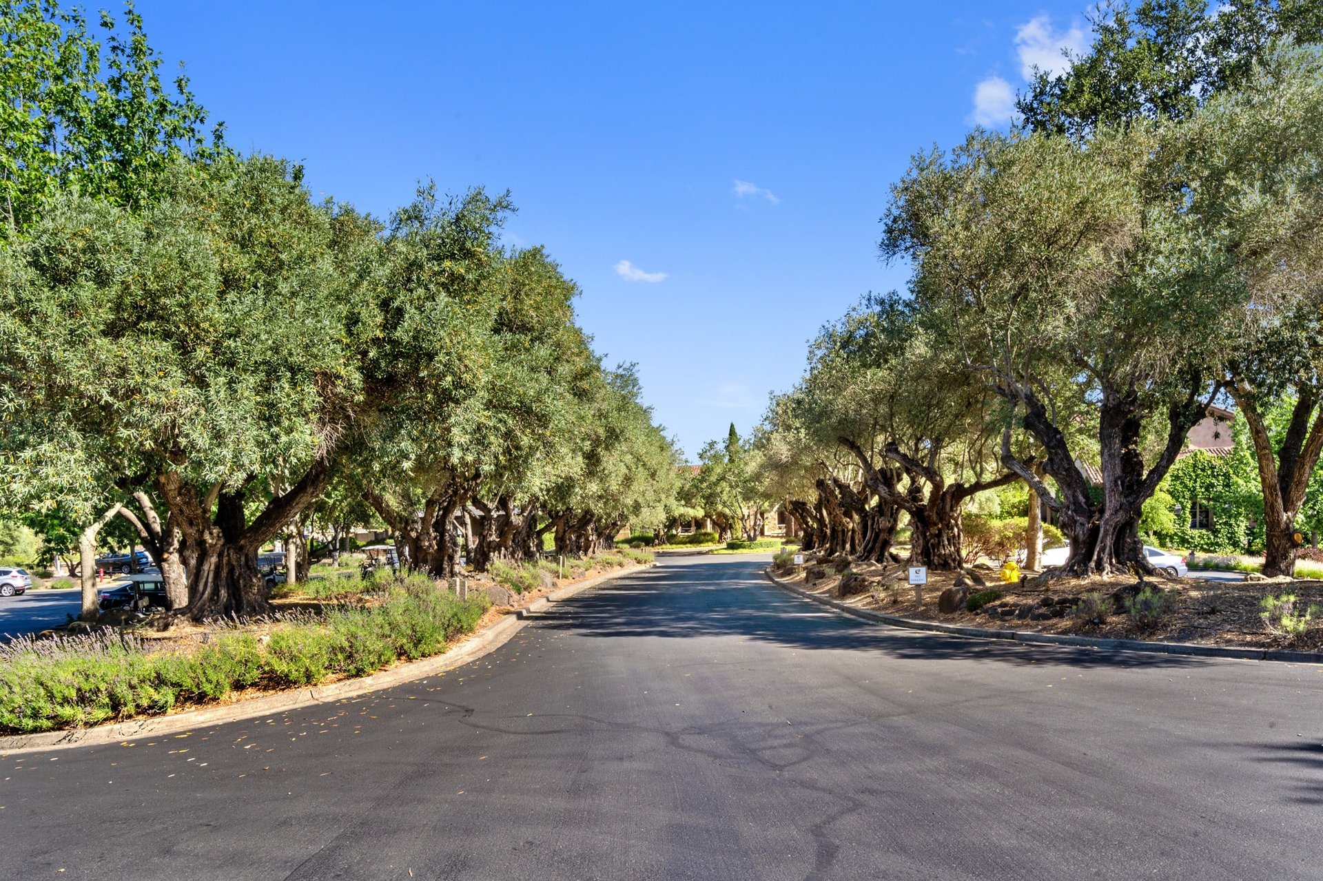 972 Cottage Valley Lane