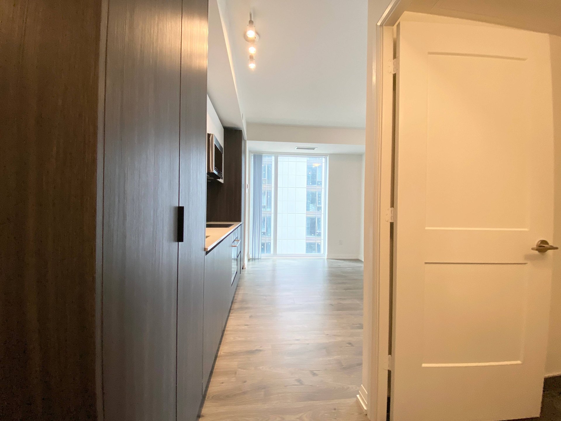 8 Widmer St Unit: 2005