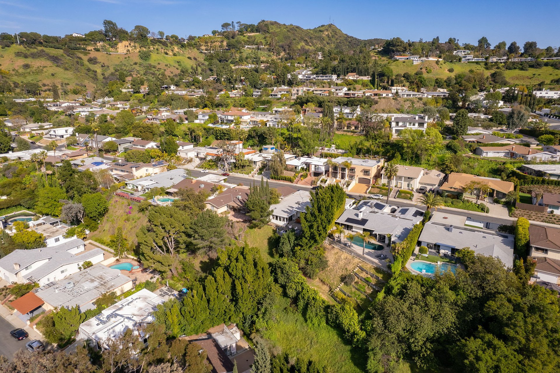 deLIGHTfull Mid Century in the Studio City "Donas"