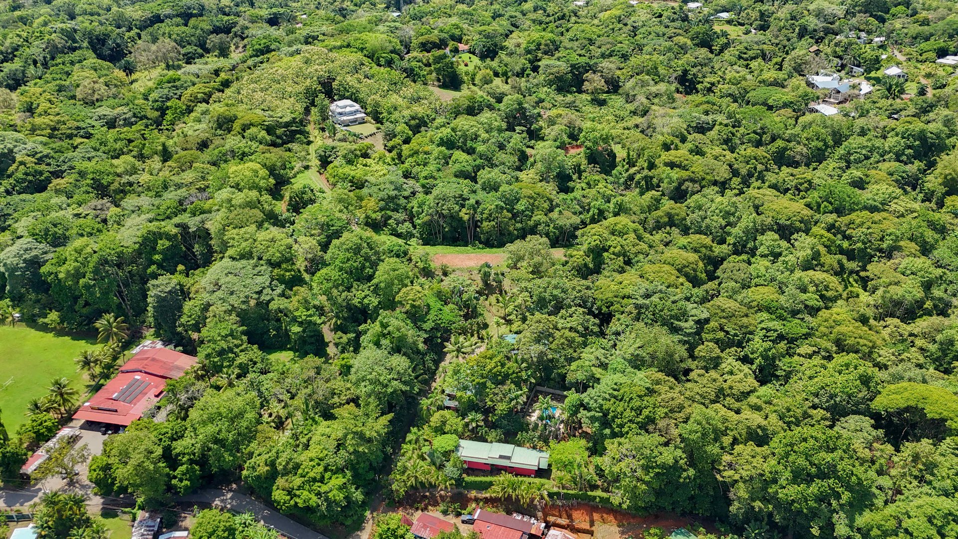 3 Cabins, A restaurant, A 3 Bed House And Multiple Plantels In The Heart Of Ojochal